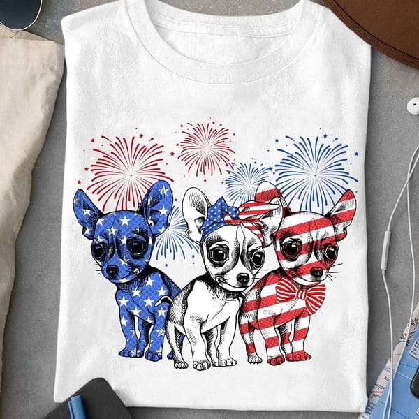 chihuahua dogs firework American Independence day - FridayStuff