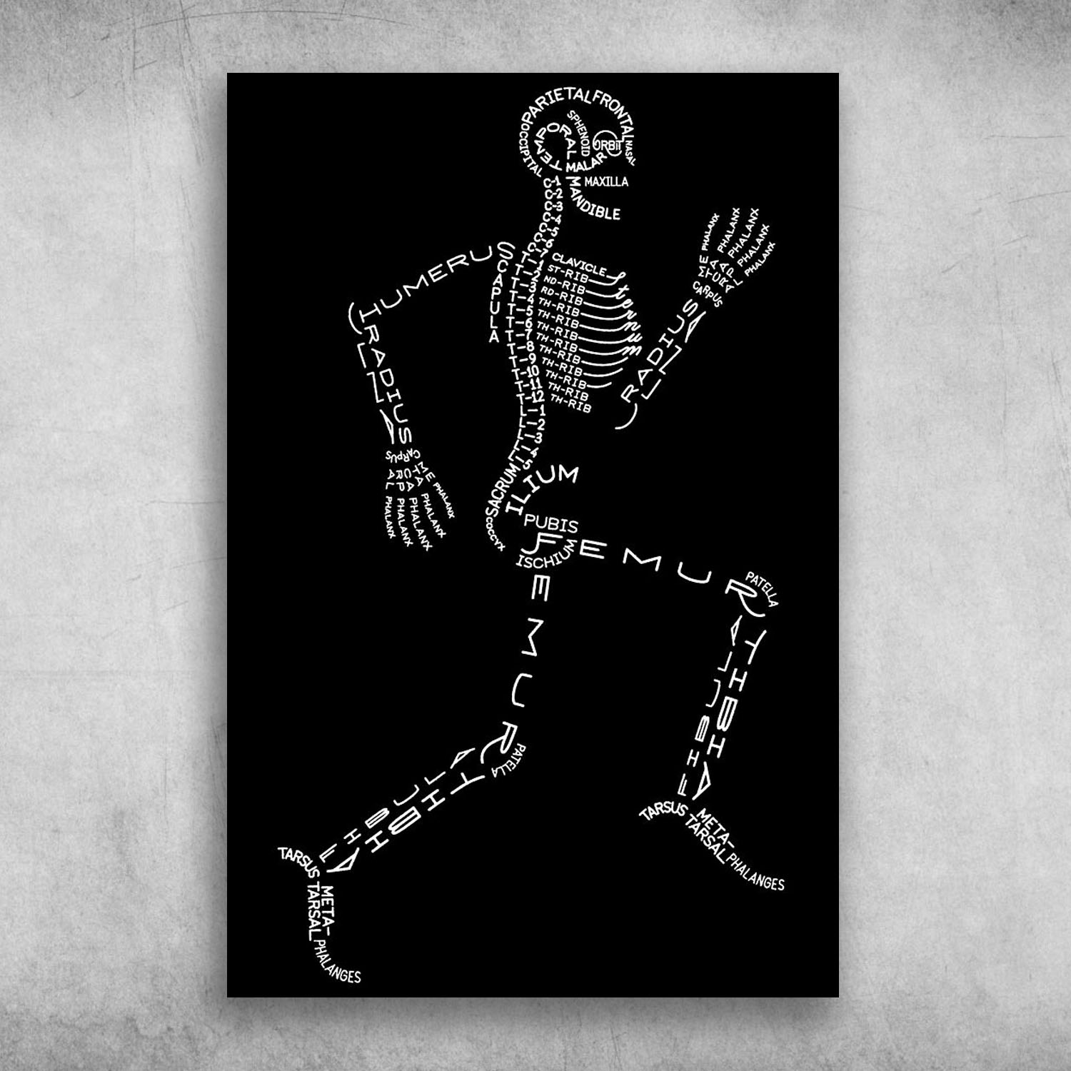 Radiologist Community X Ray Of The Human Body