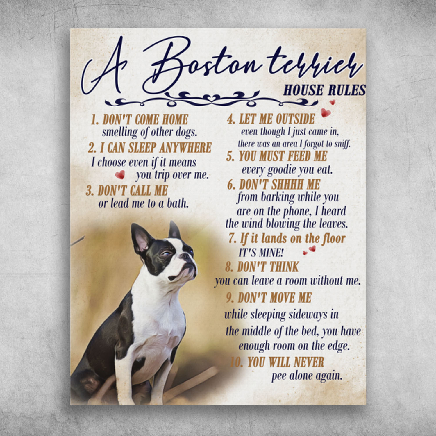 A Boston Terrier House Rules Let Me Outside