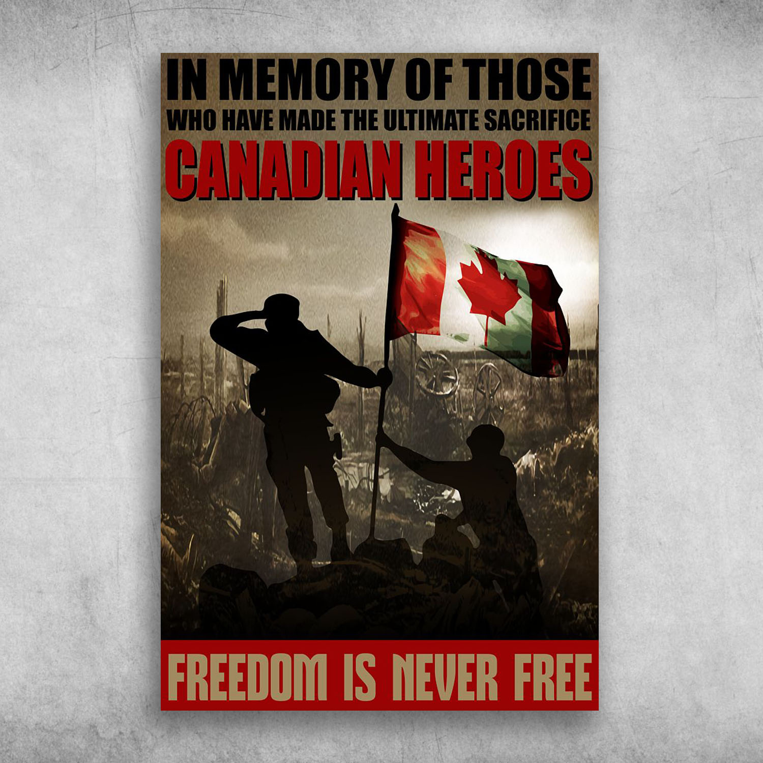 Canadian Heroes Freedom Is Never Free