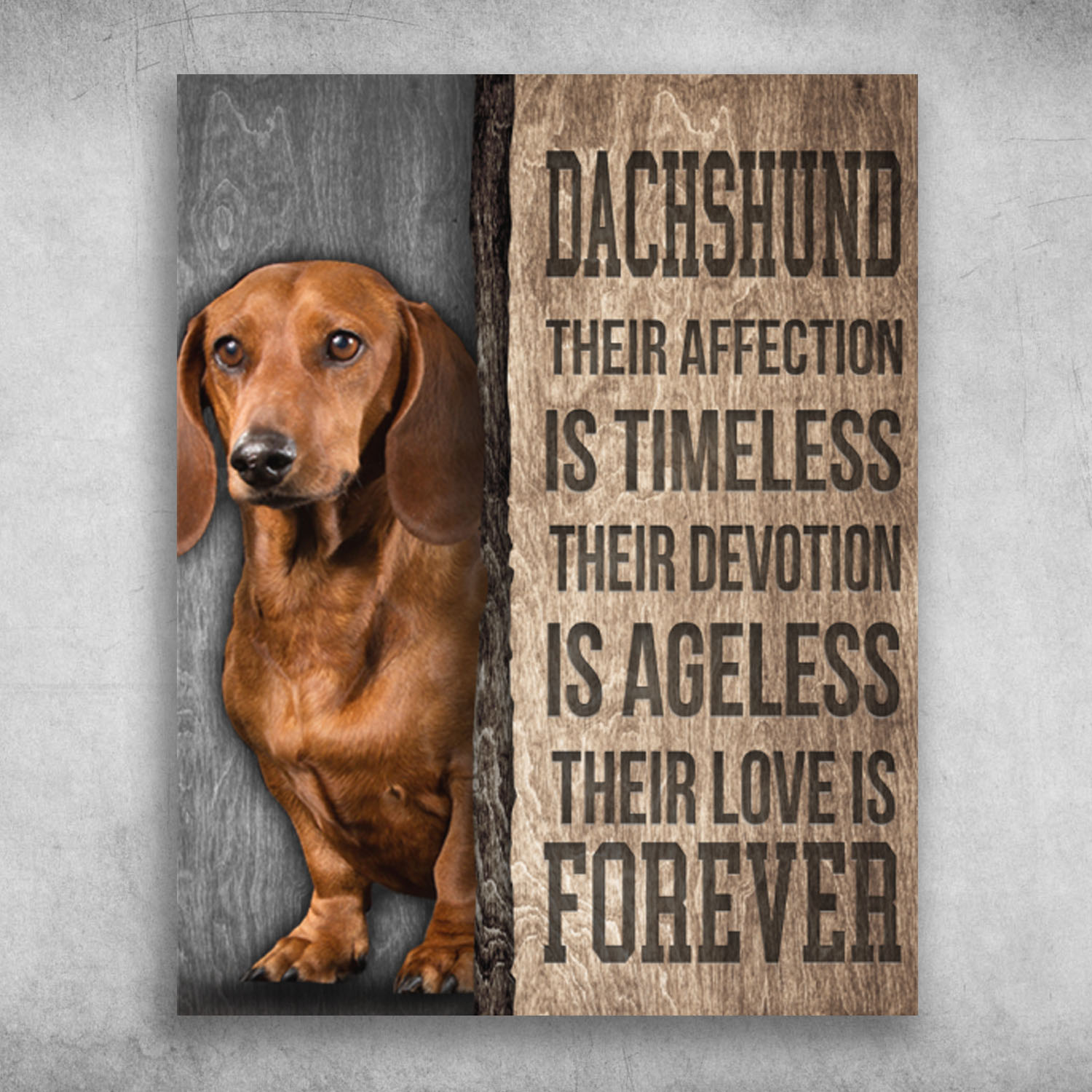 Dachshund Their Affection Is Timeless Their Love Is Forever