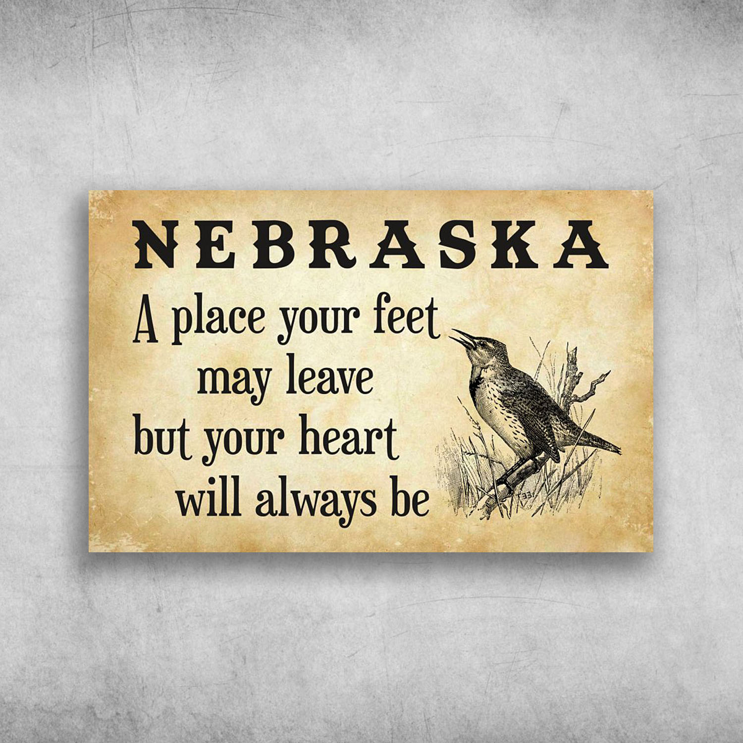 Nebraska A Place Your Feet May Leave