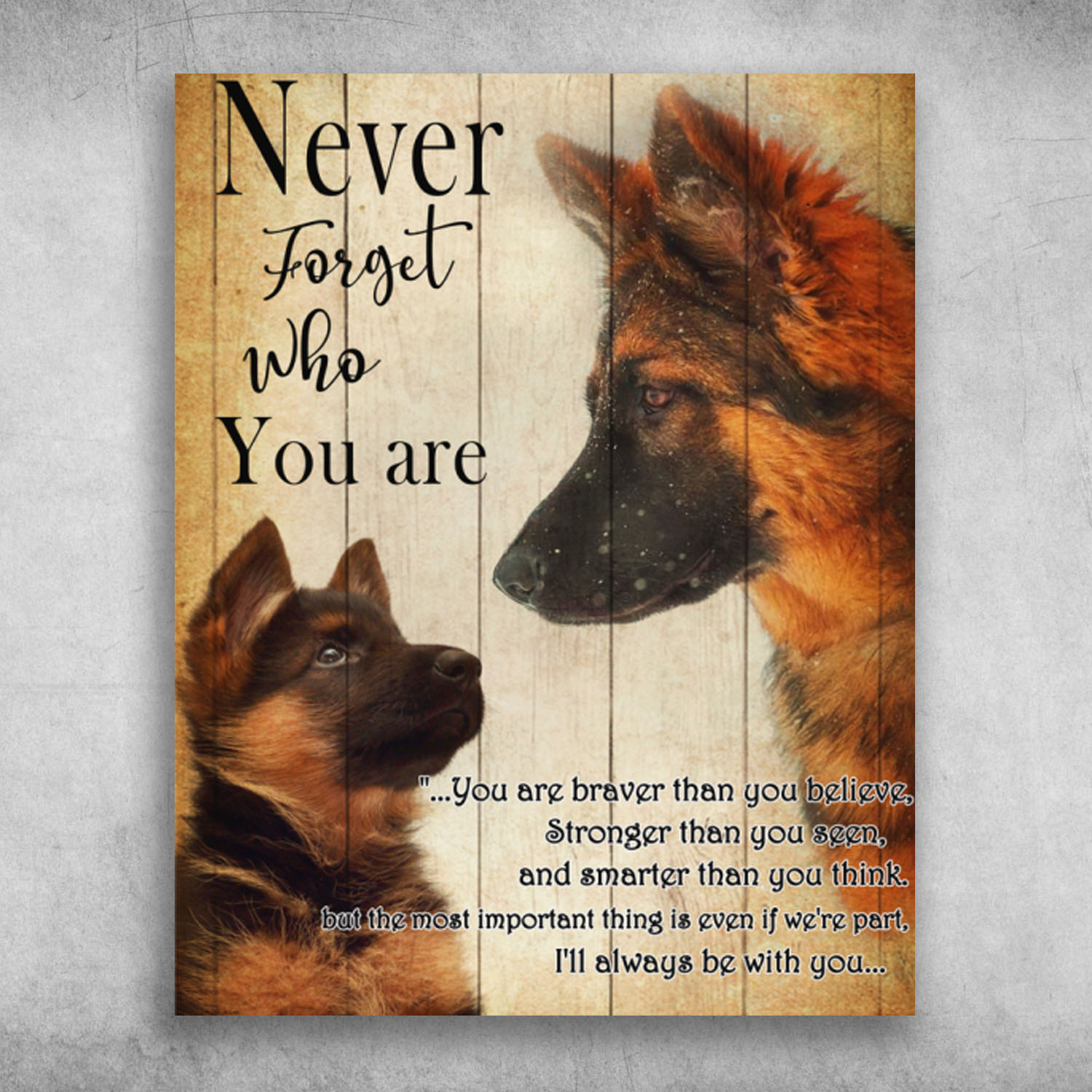 Old German Shepherd Dog Never Forget Who You Are