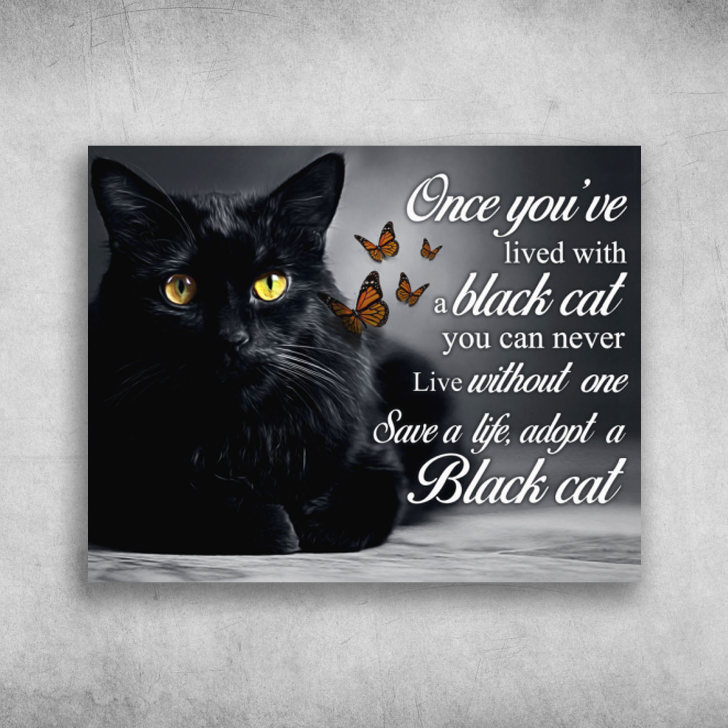 Once You've Lived With A Black Cat