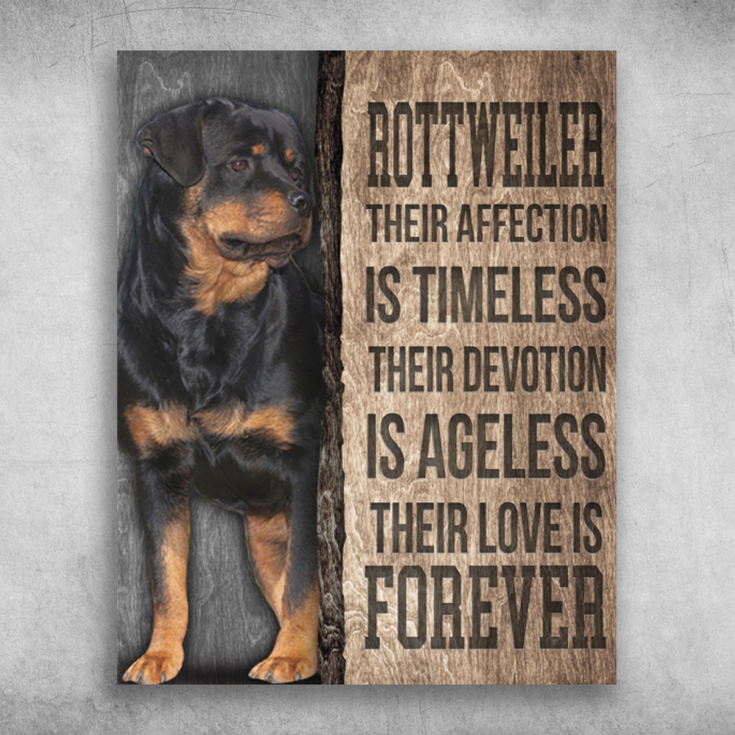 Rottweiler Their Affection Is Timeless Their Devotion Is Ageless