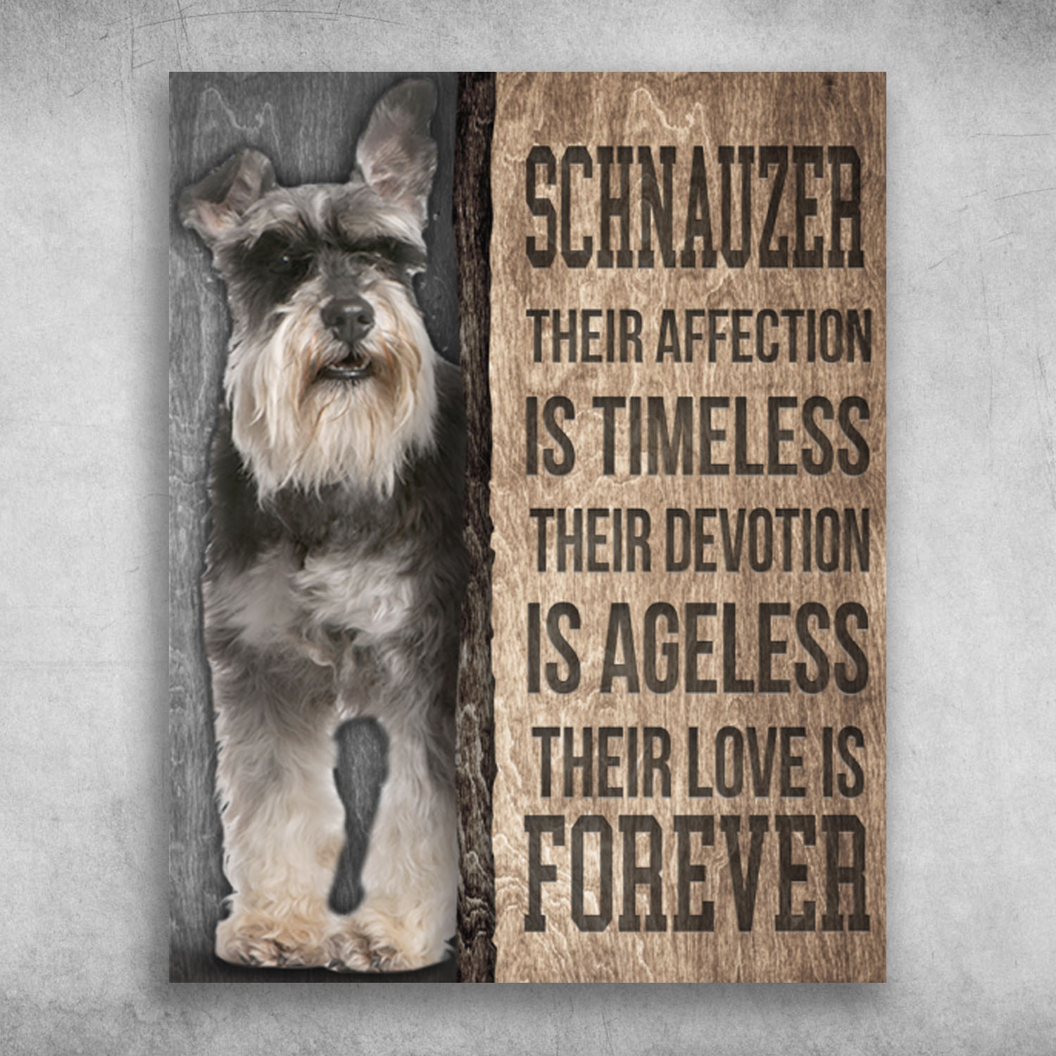 Schnauzer Their Devotion Is Ageless Their Love is Forever