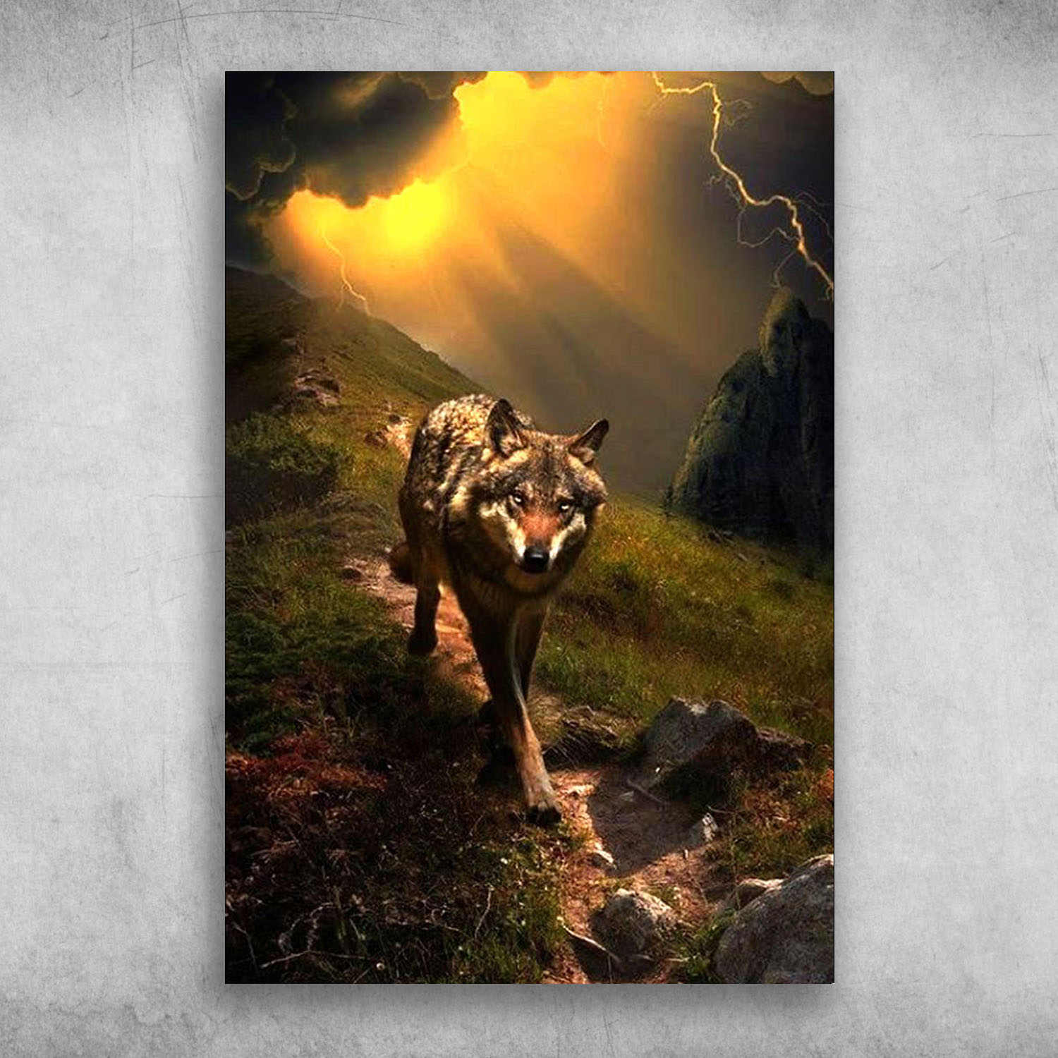 Werewolf Wolf Walks On A Hill In The Sunlight