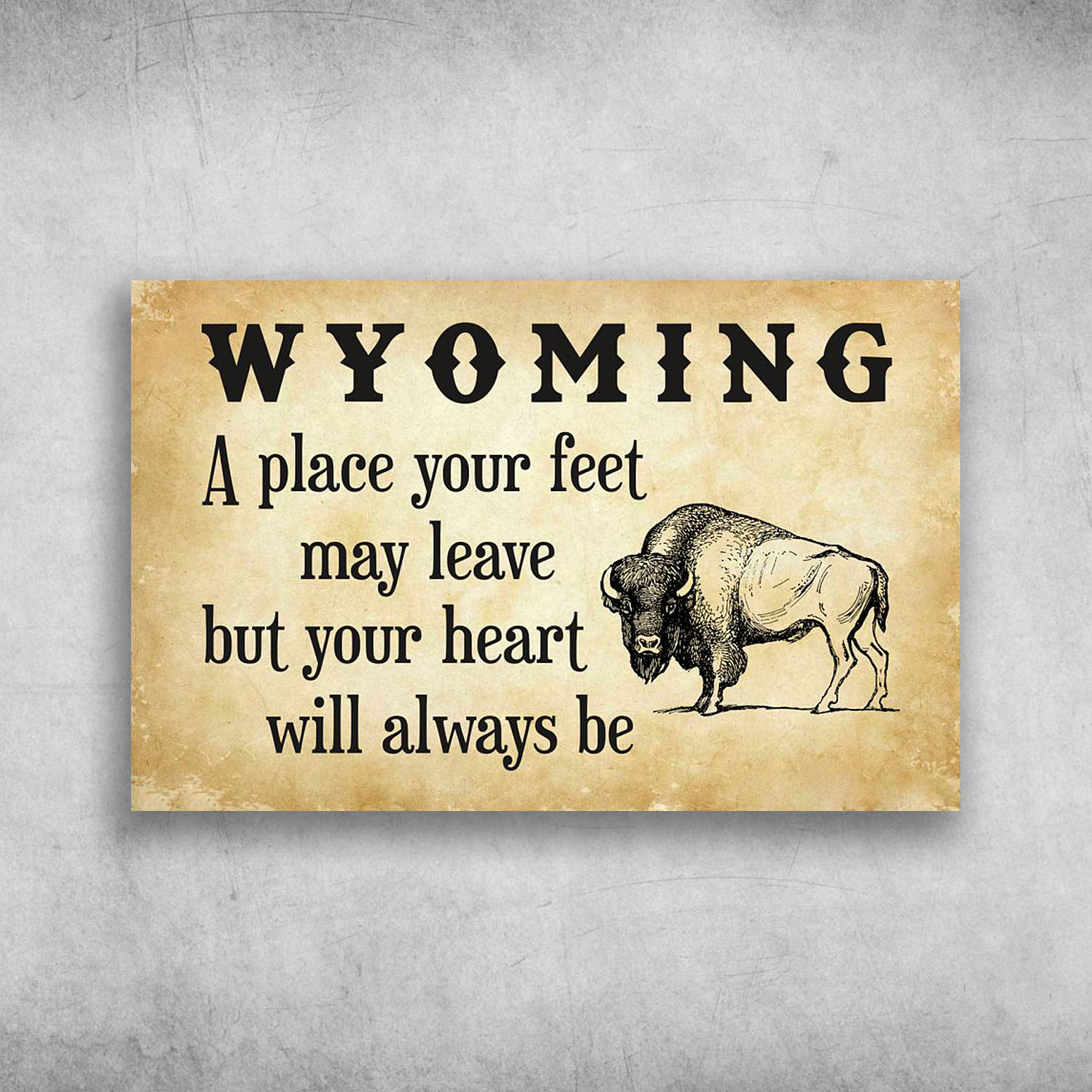 Wyoming A Place Your Feet May Leave