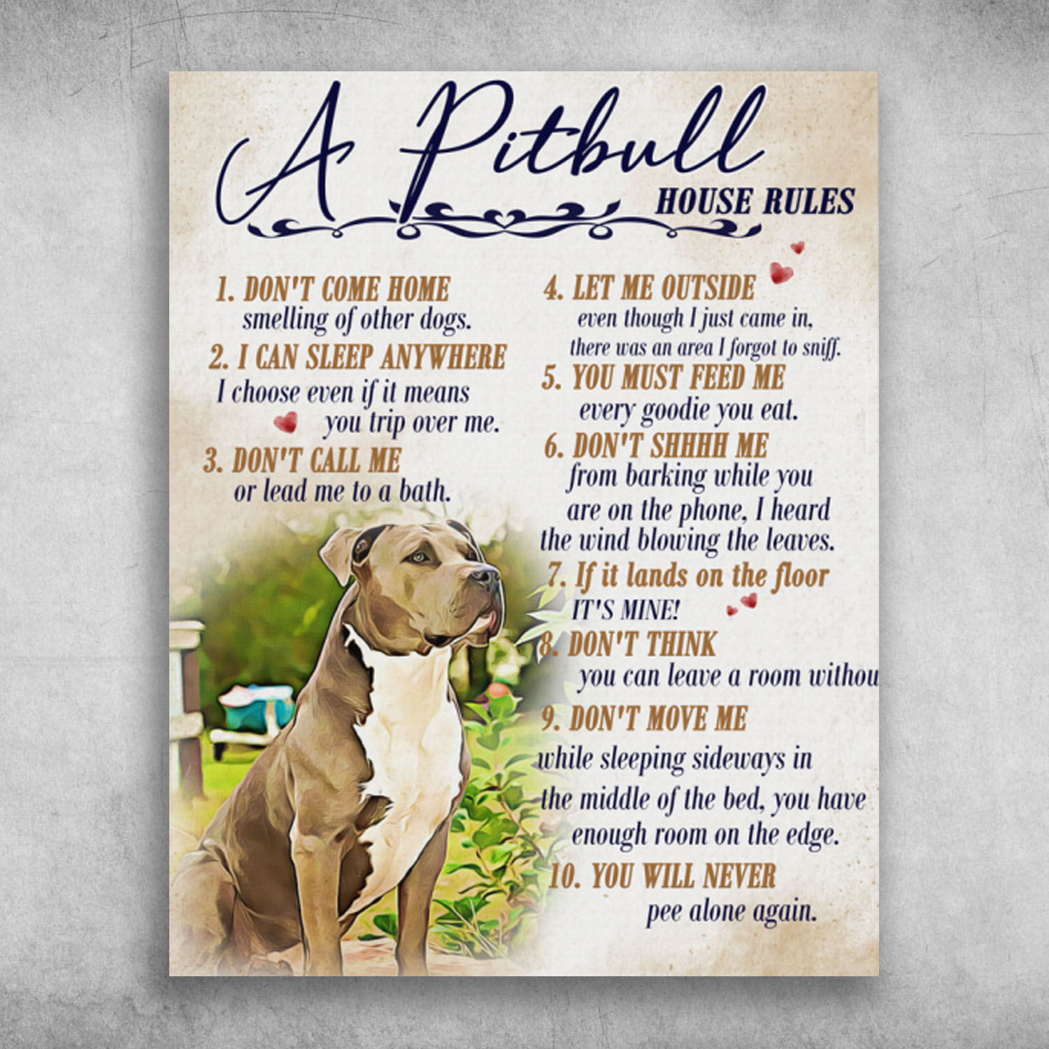 A Pitbull House Rules You Will Never Pee Alone Again
