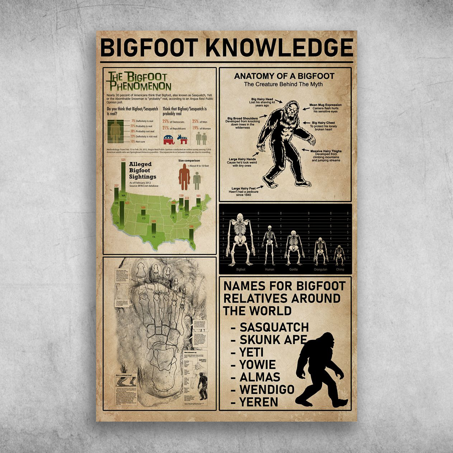 Big Foot Knowledge The Big Foot Phenomenon