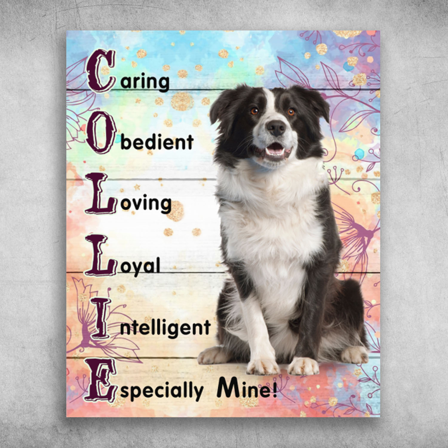 Border Collie Caring Obedient Loving Loyal