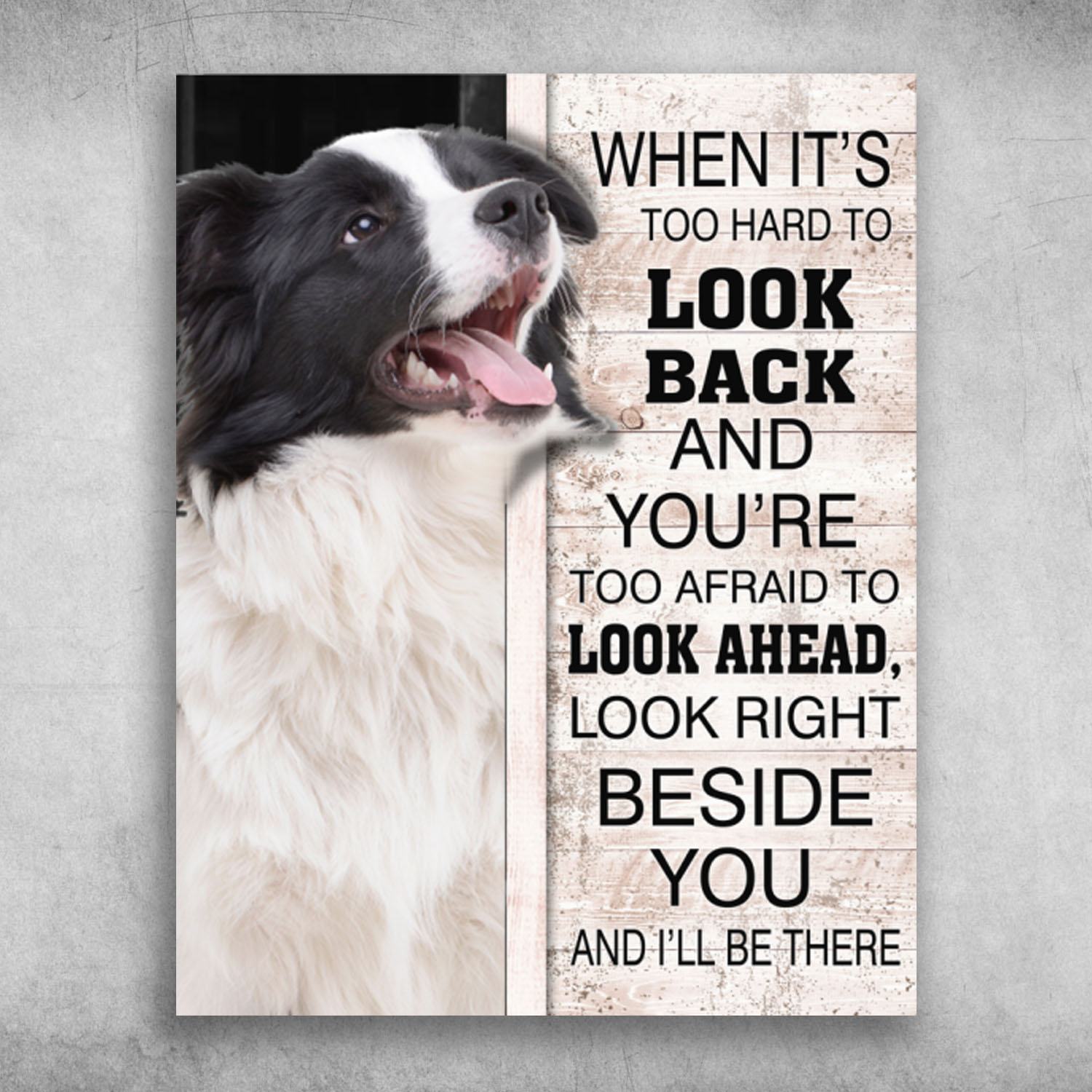Border Collie Look Right Beside You And I'll Be There