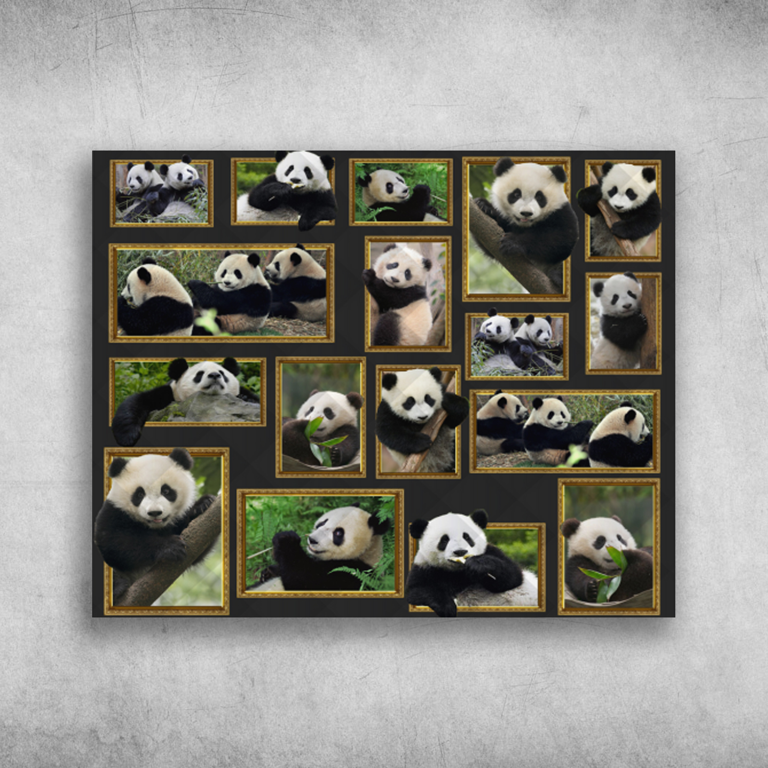 Cute Panda Moments Life Is Better With Panda