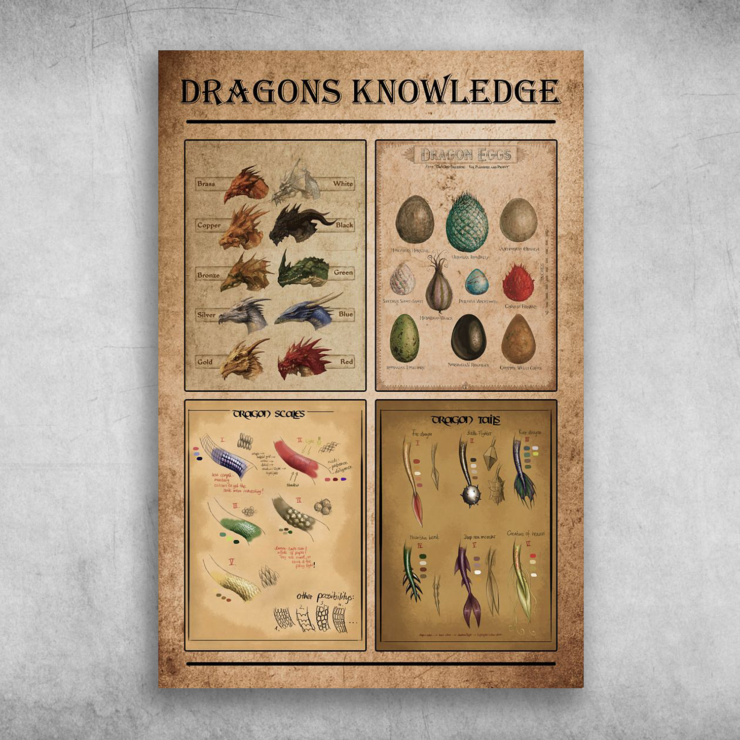 Dragons Knowledge Dragon Eggs Dragon Scales Dragon Tails