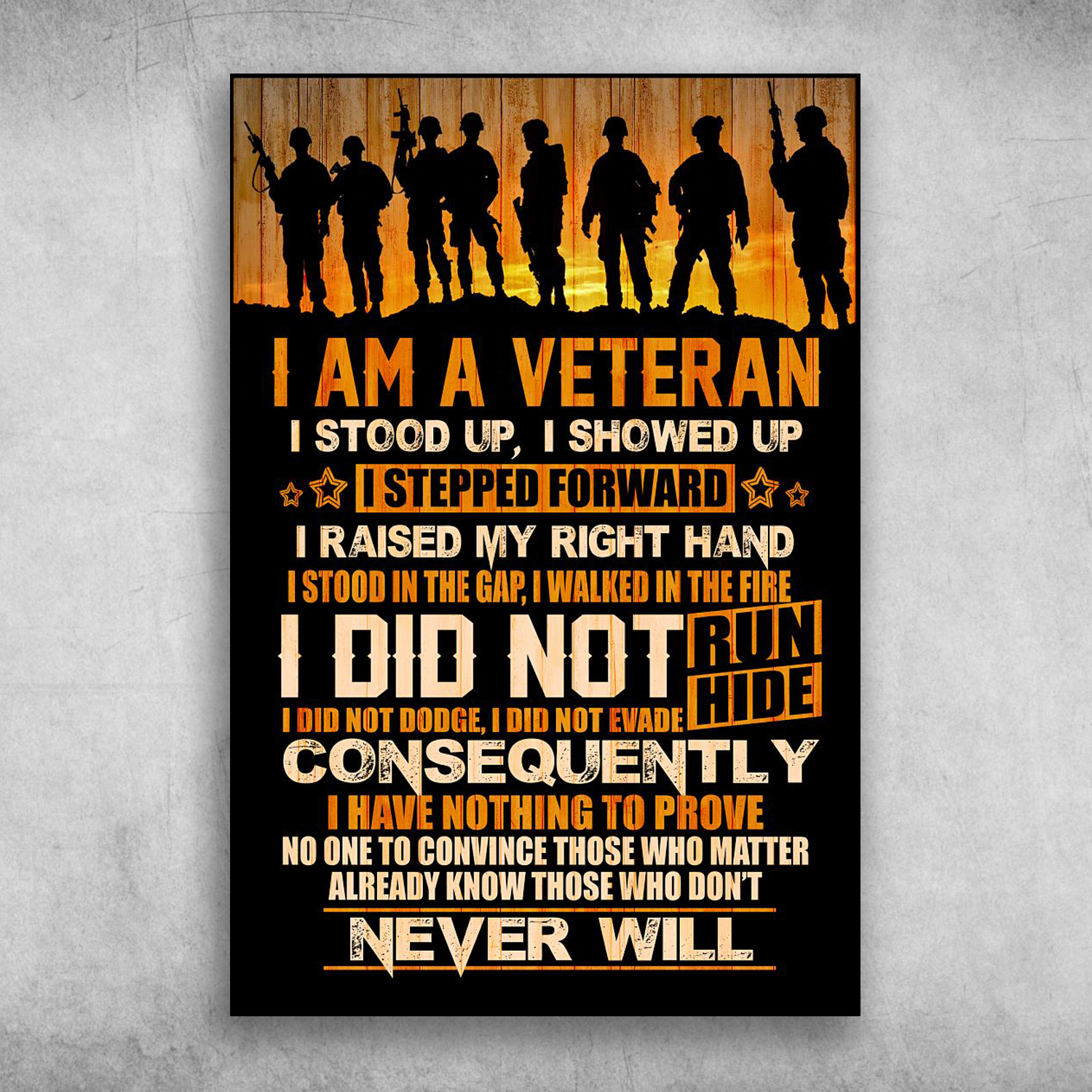 I Am A Veteran I Have Nothing To Prove