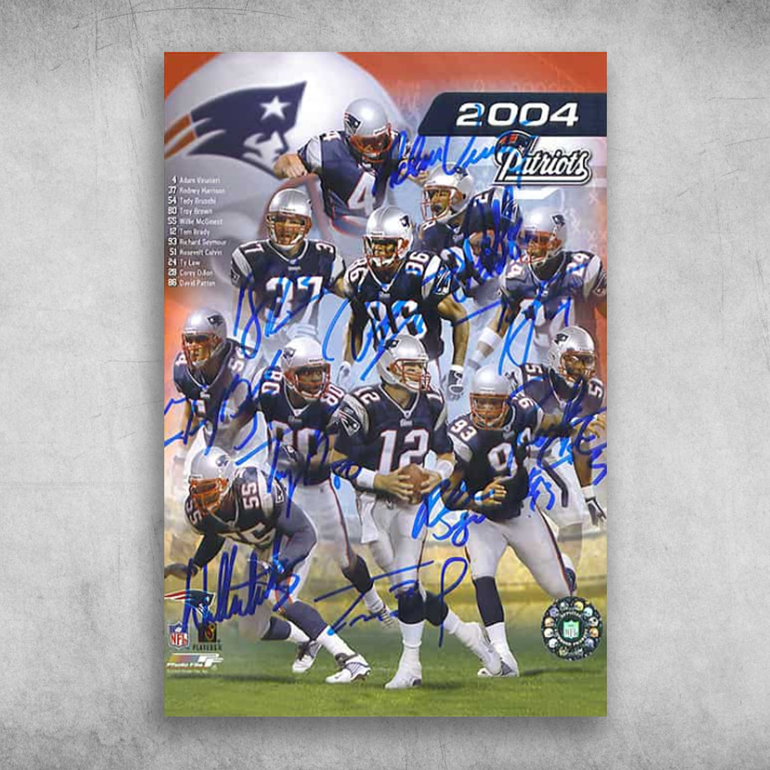 New England Patriots National Football League 2004