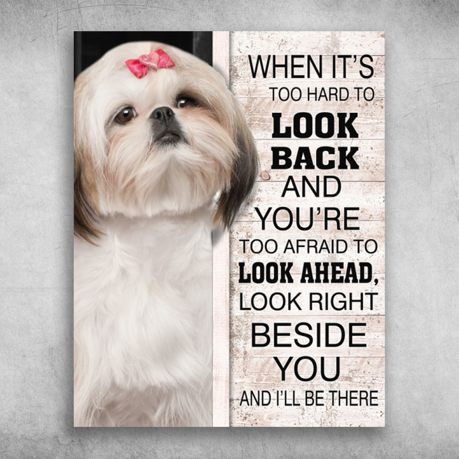 Shih Tzu Look Right Beside You And I'll Be There