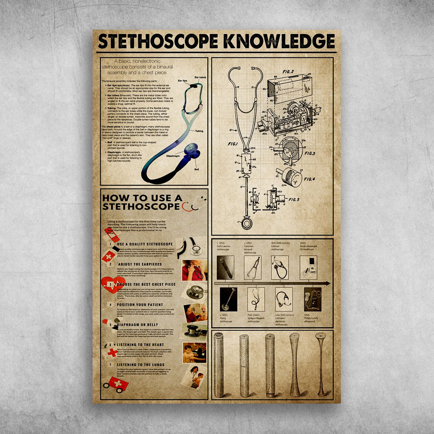 Stethoscope Knowledge How To Use A Stethoscope