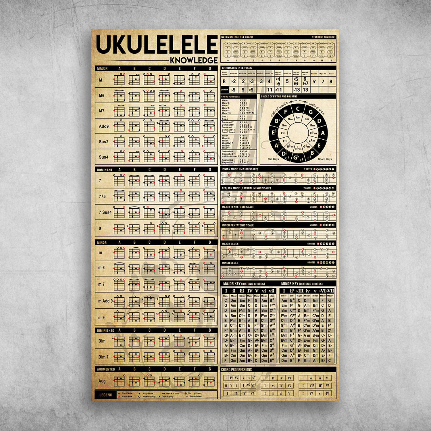 Ukulele Knowledge Musical Instrument
