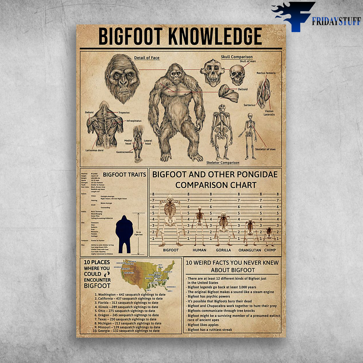 Bigfoot Knowledge And Other Pongidae Comparison Chart