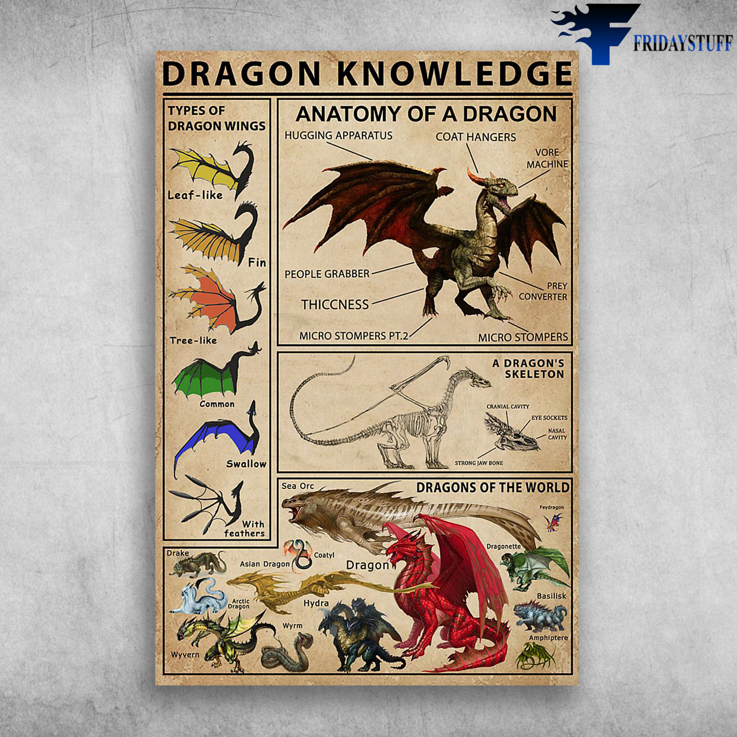 Dragon Knowledge Anatomy Of A Dragon