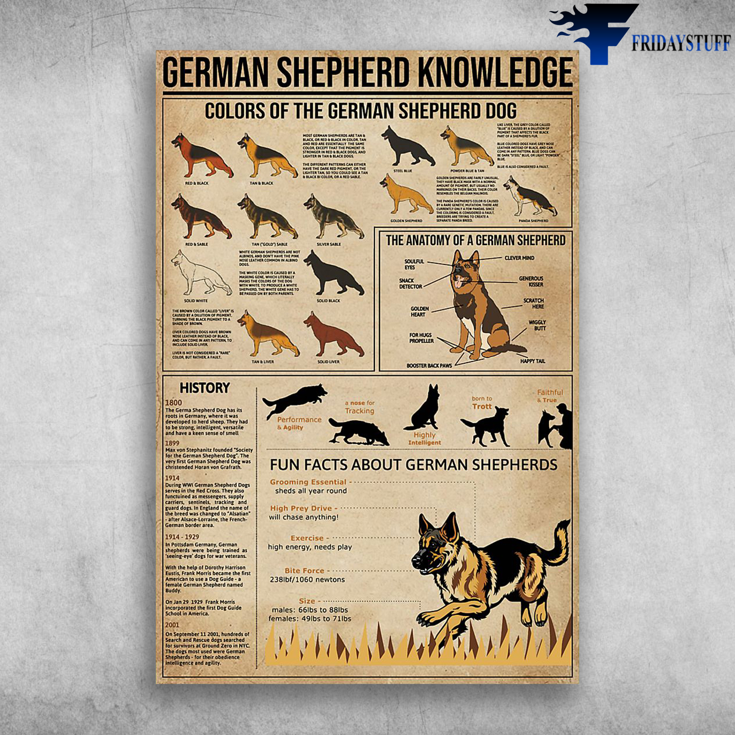 German Shepherd Knowledge Colors Of The German Shepherd Dog