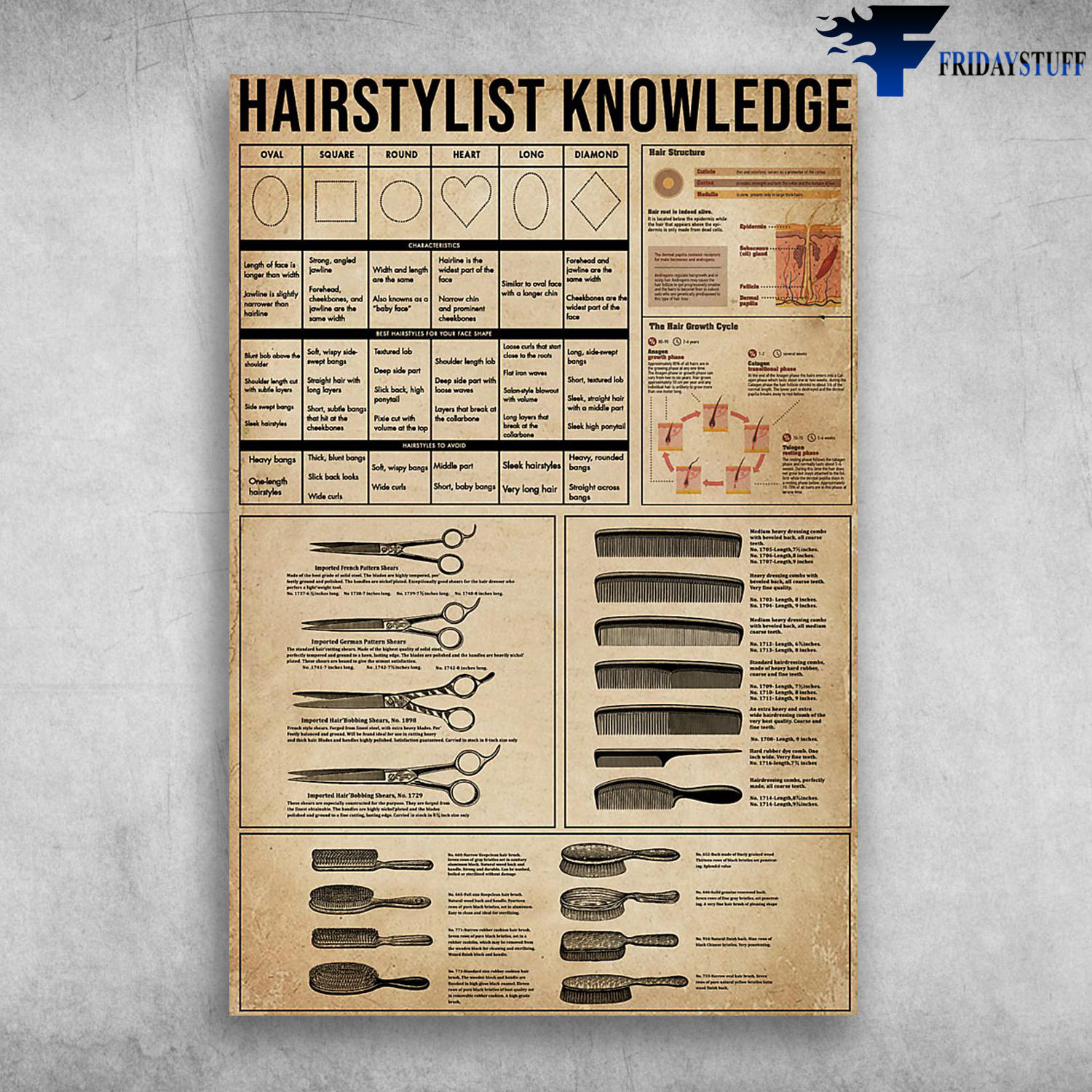 Hairstylist Knowledge The Hair Growth Cycle