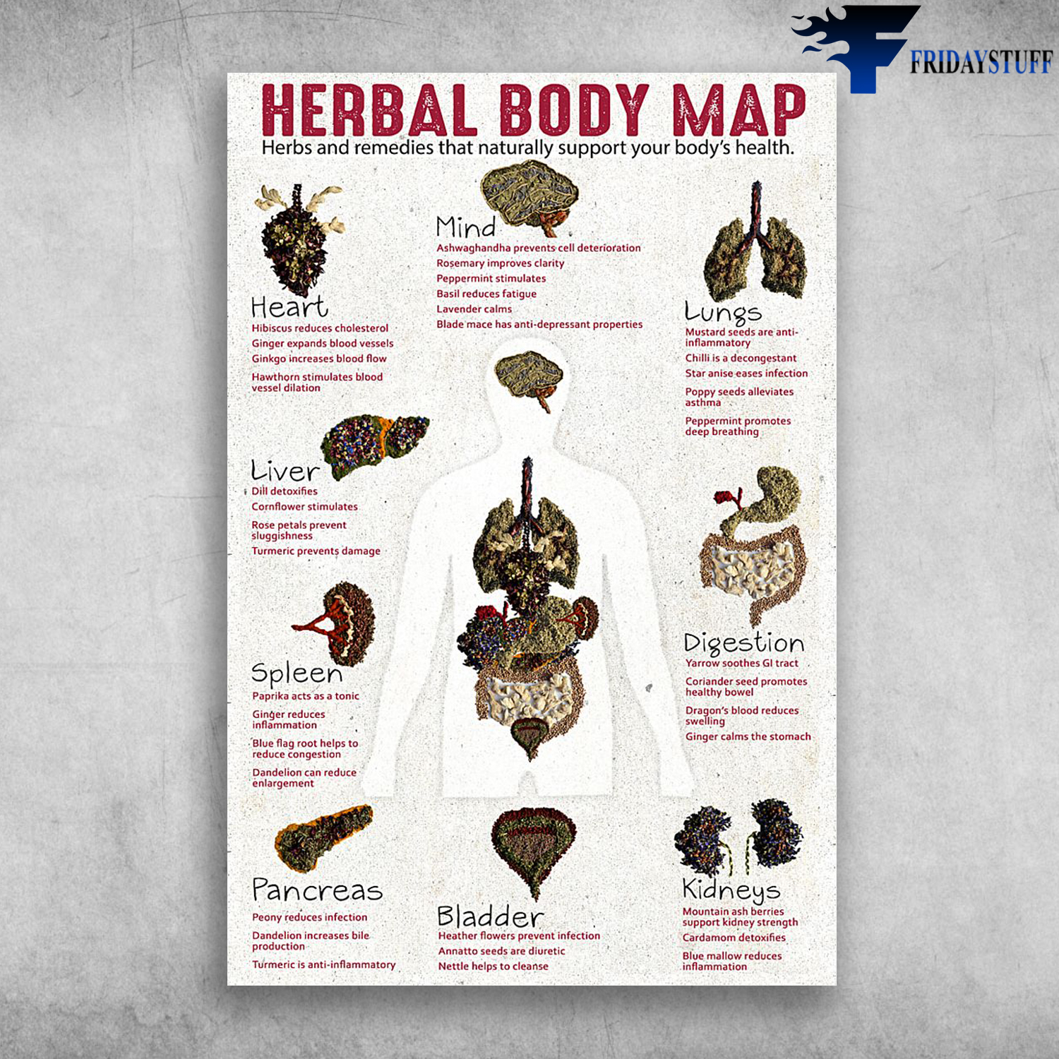 Herbal Body Map Herbs And Remedies That Support Your Body's Health