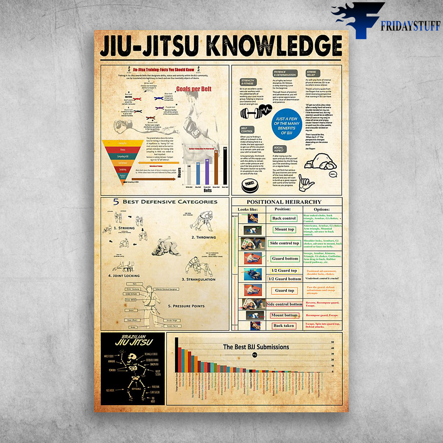 Jiu Jitsu Knowledge The Best BJJ Submissions