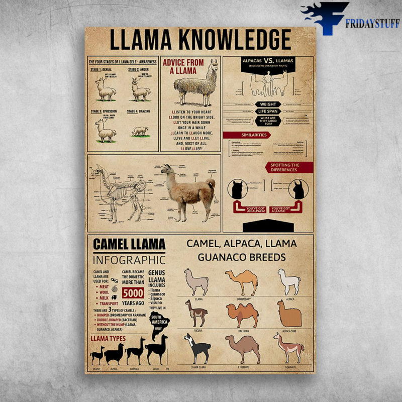 llama-knowledge-the-four-stages-of-llama-self-canvas-poster-fridaystuff
