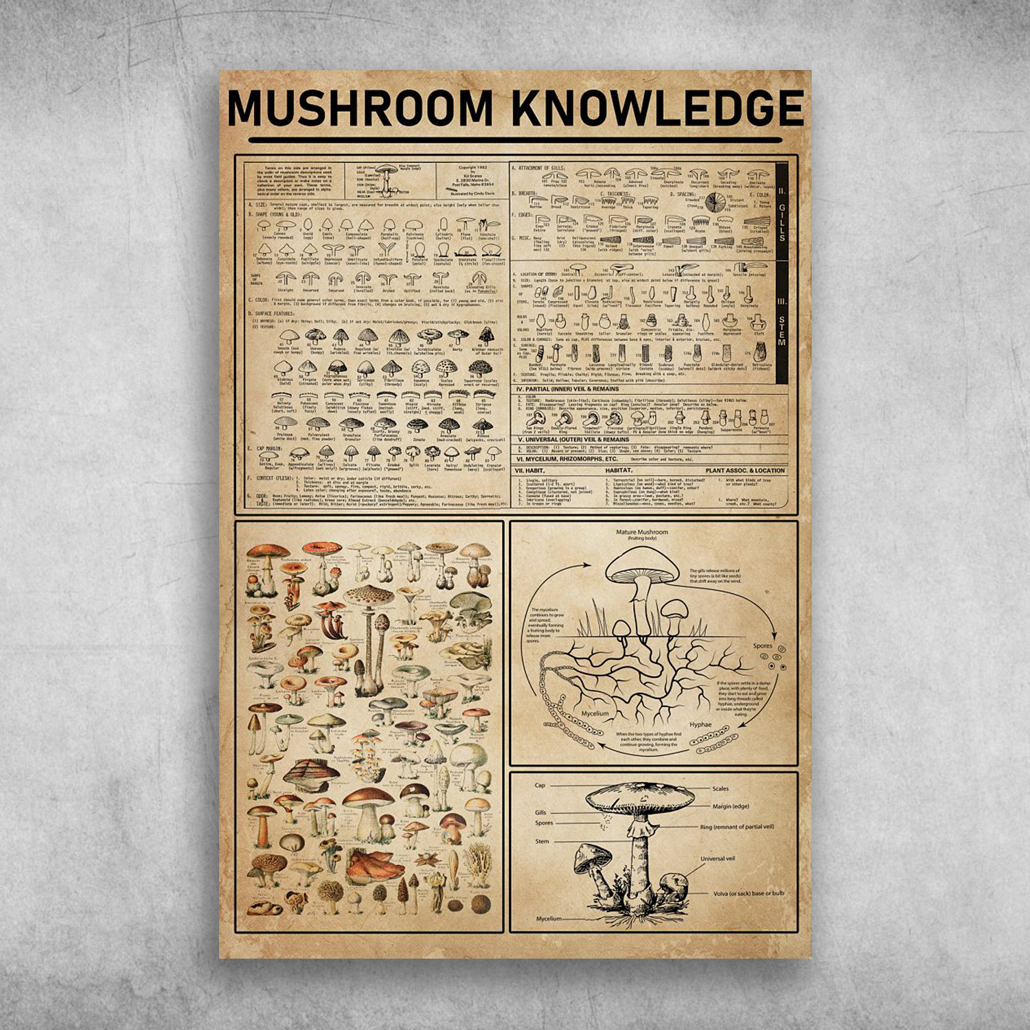 Mushroom Knowledge Digging Out Mushroom Knowledge
