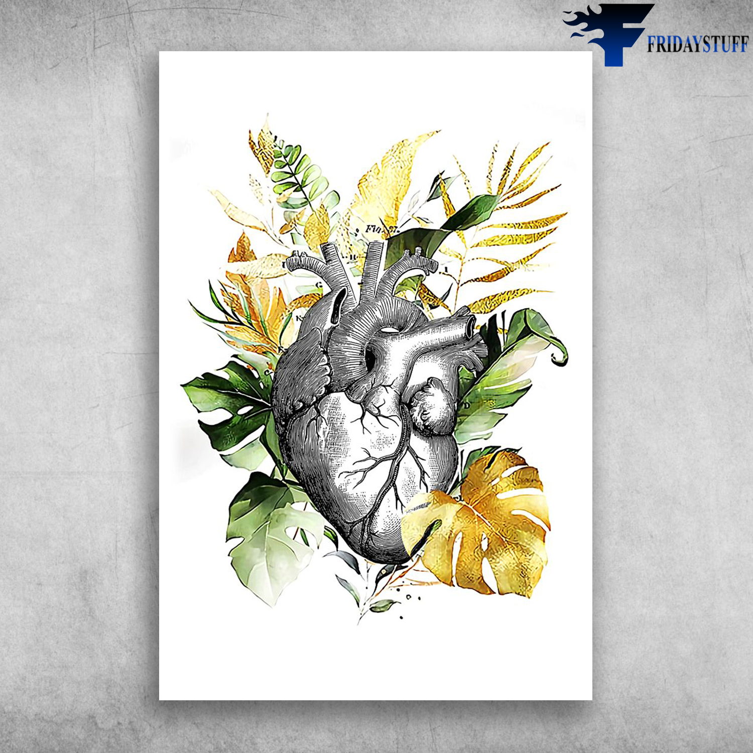 Plant Heart Anatomy Human Heart Anatomy