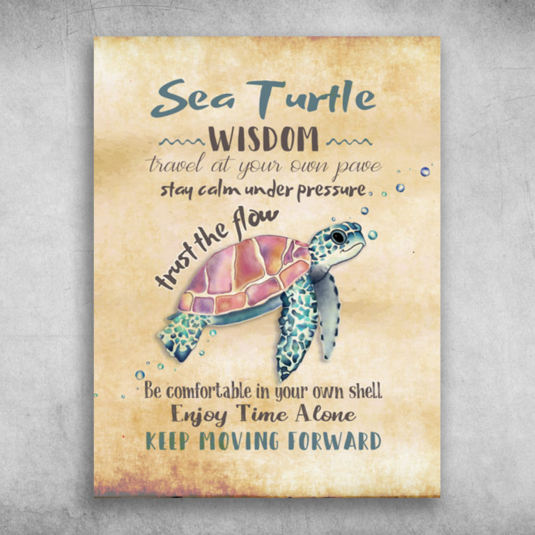Sea Turtle Wisdom Travel At Your Own Pave Keep Moving Forward Canvas ...