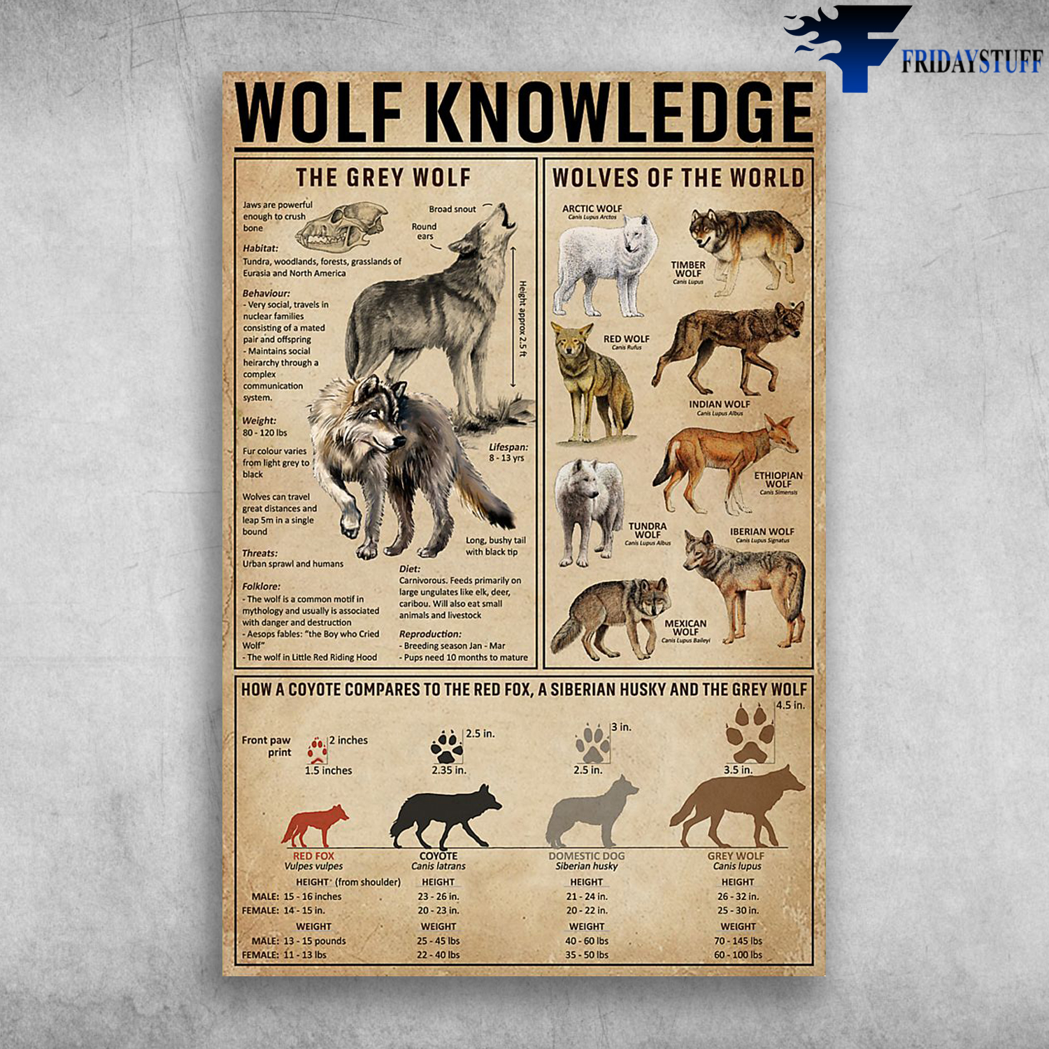 Wolf Knowledge The Grey Knowledge Wolves Of The World