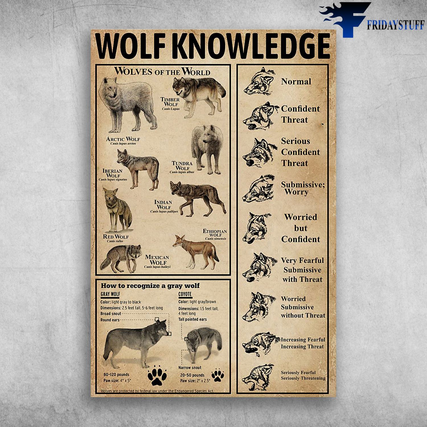 Wolf Knowledge Wolves Of The World