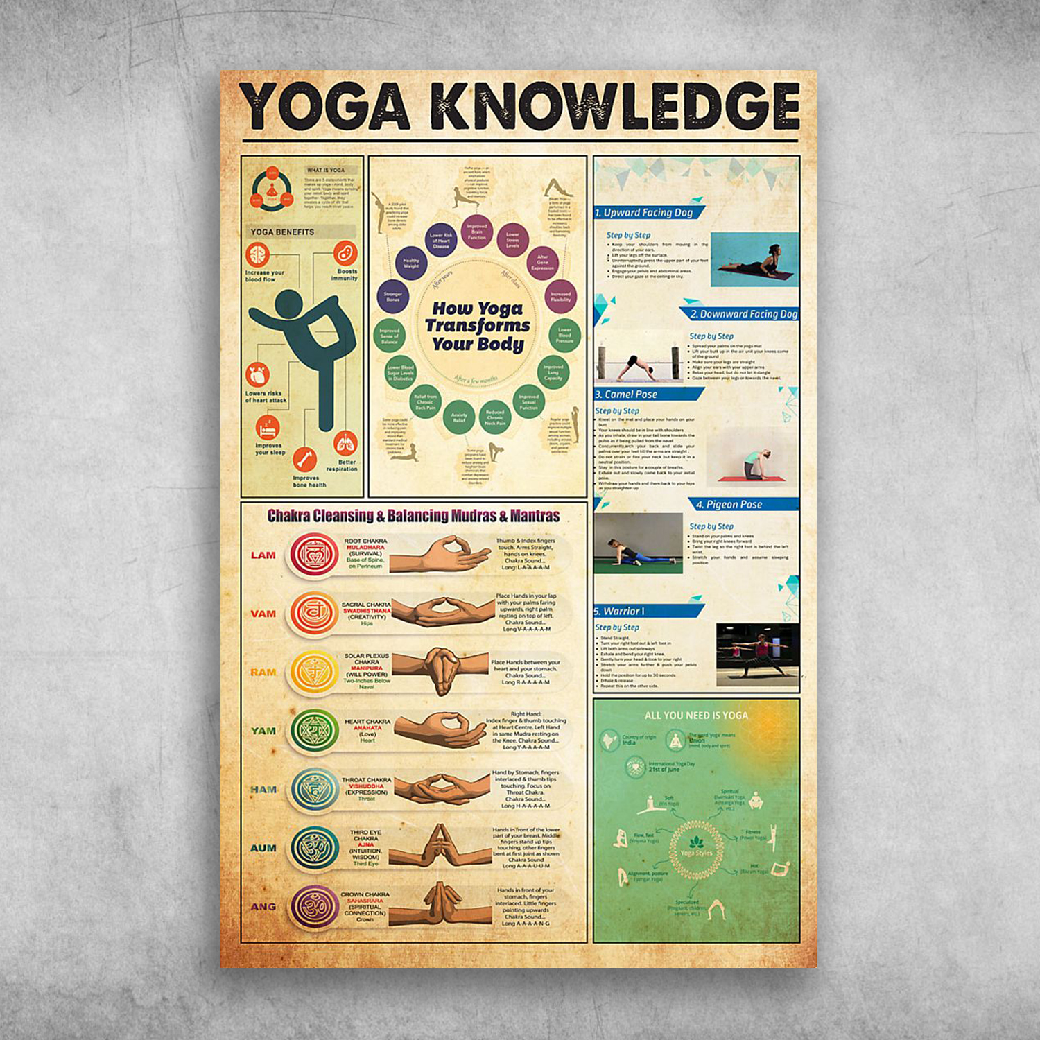 Yoga Knowledge How Yoga Transforms Your Body