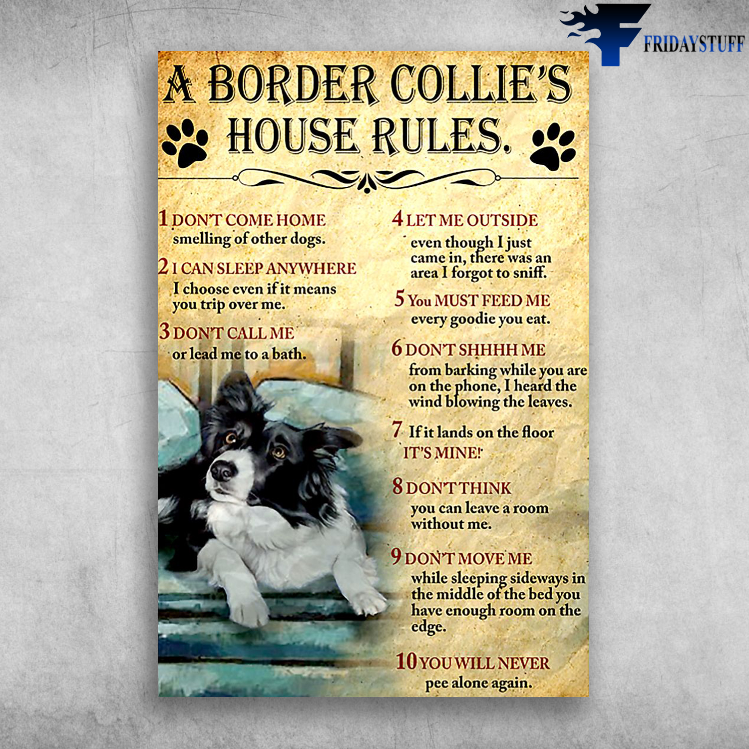 A Border Collie's House Rules I Can Sleep Anywhere