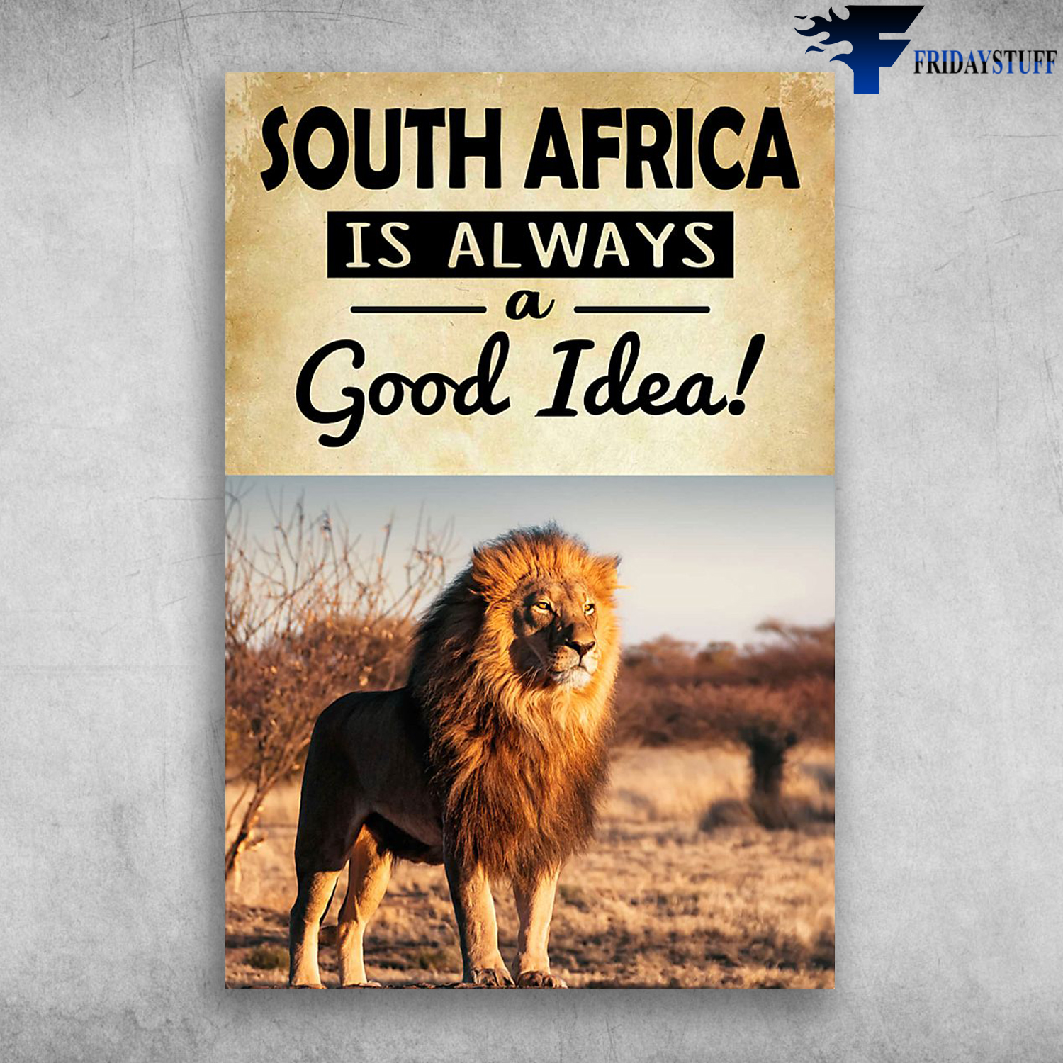 Beautiful Lion South Africa Is Always A Good Idea