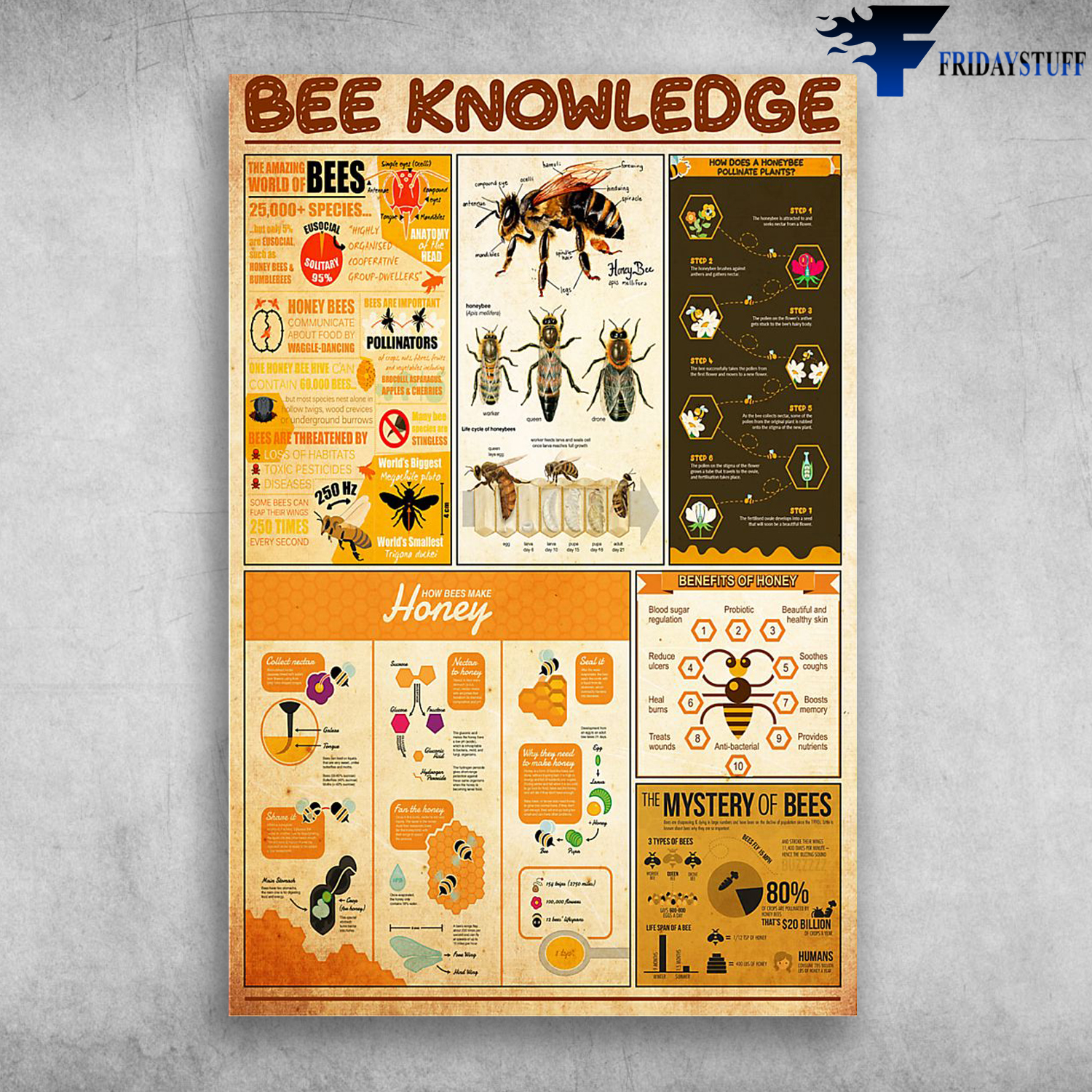 Bee Knowledge The Amazing World Of Bees