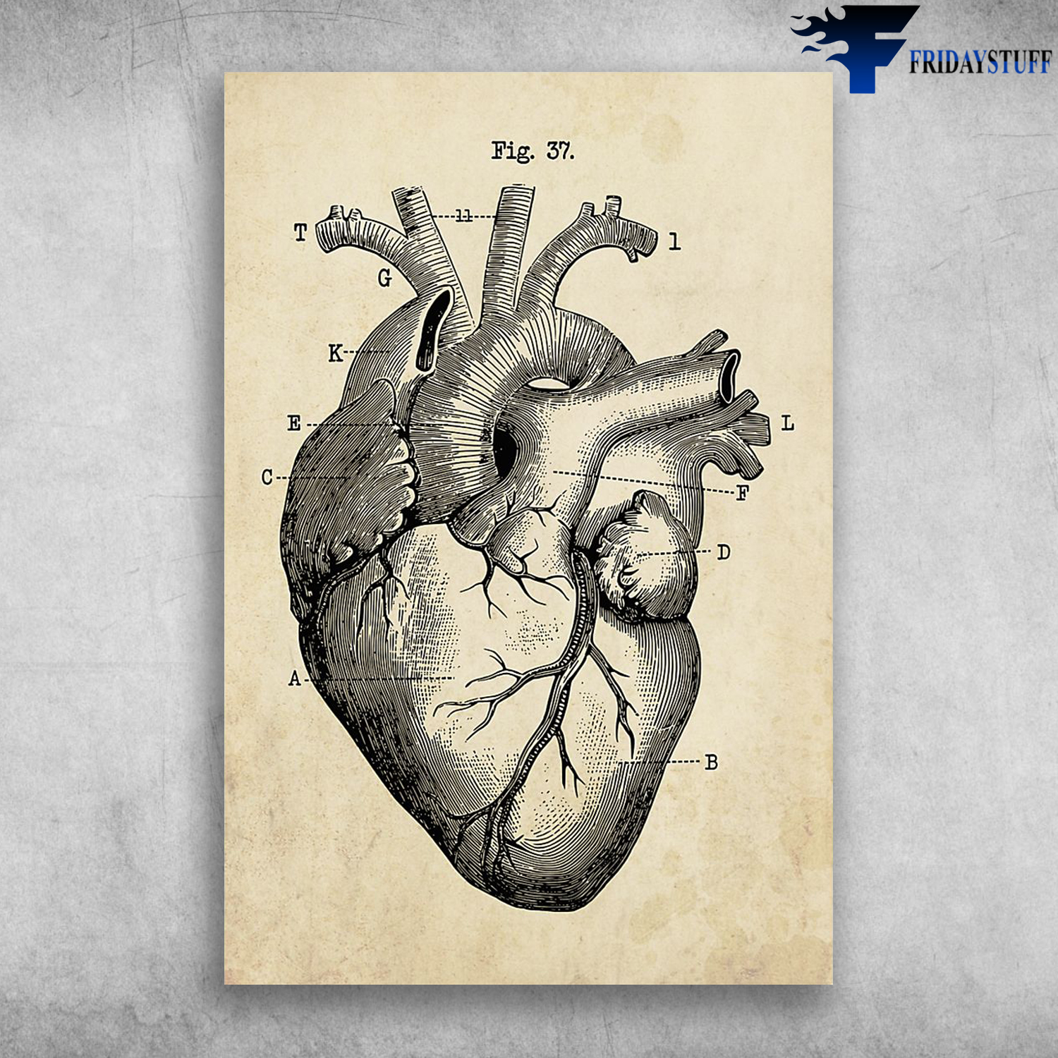 black and white human heart image