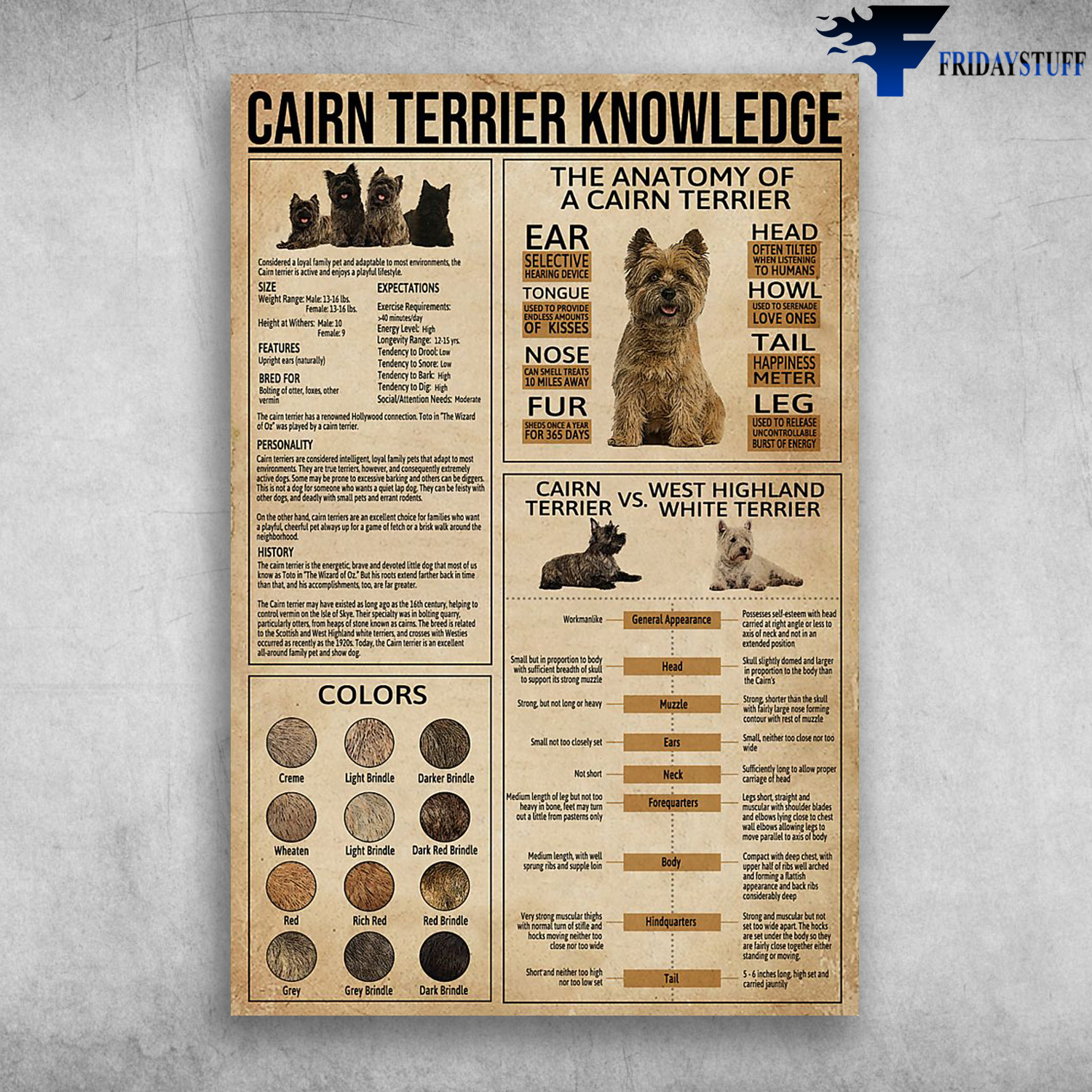 Cairn Terrier Knowledge The Anatomy Of A Cairn Terrier