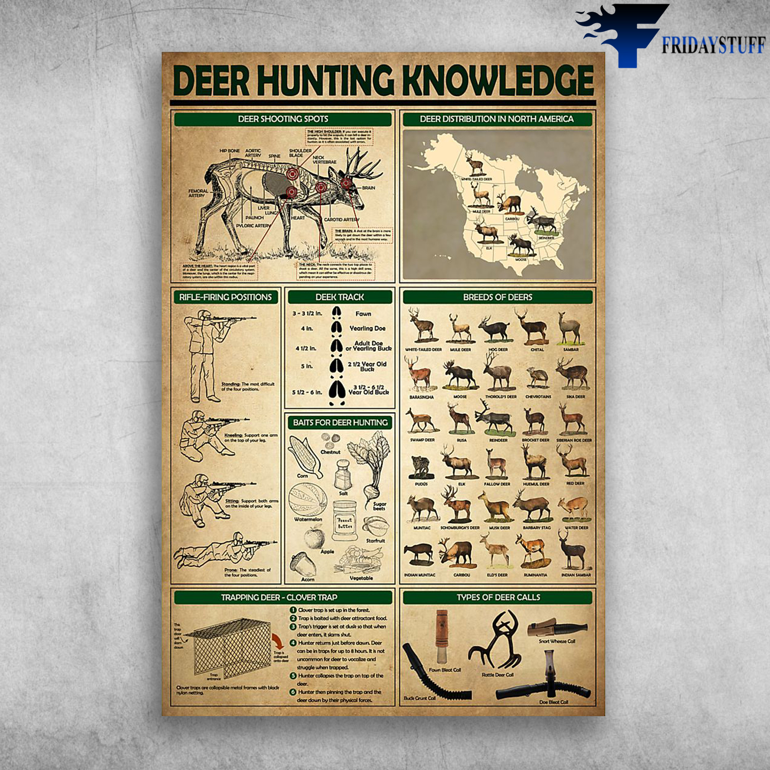 Deer Hunting Knowledge Deer Shooting Spots Breeds Of Deers