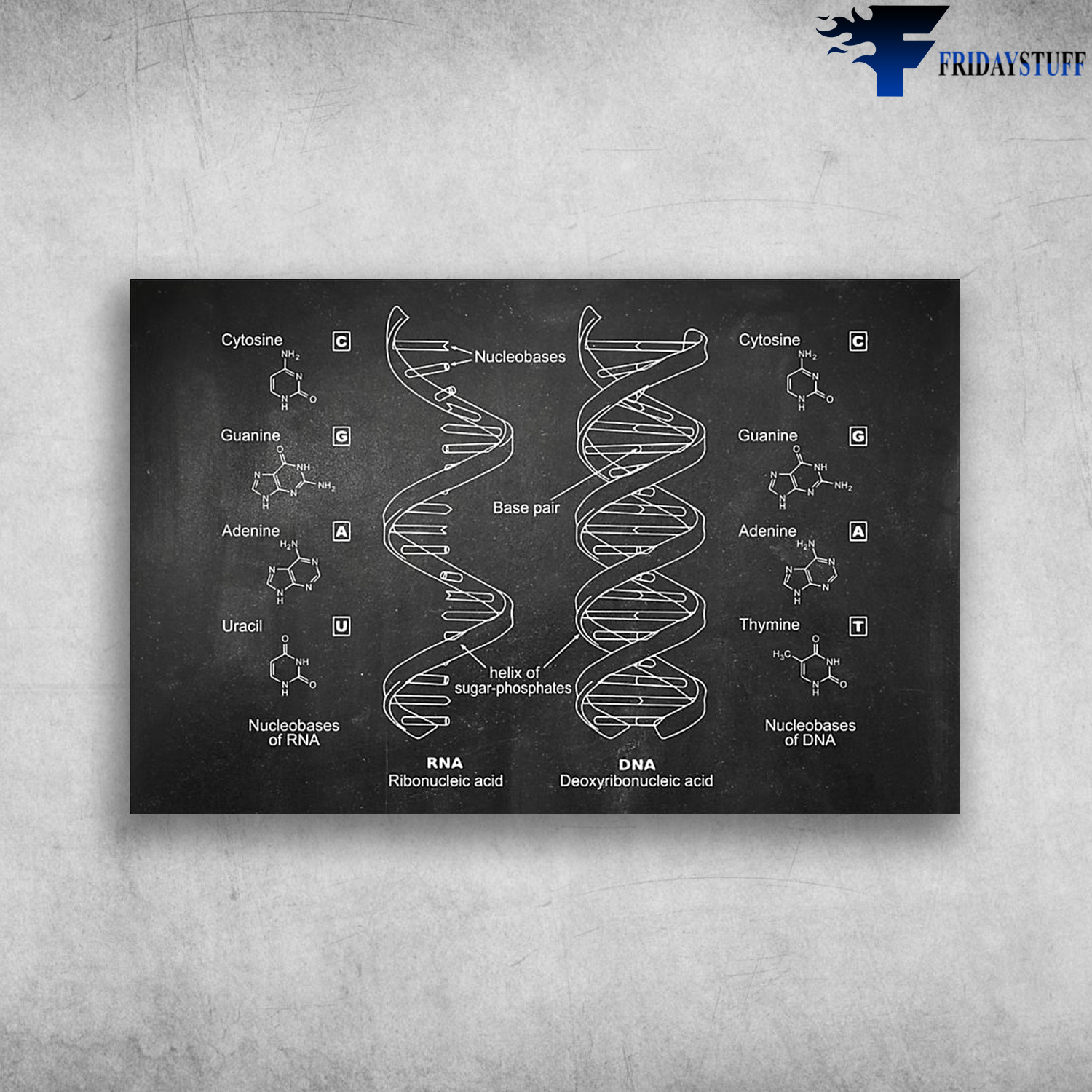 Genetic Code Print Amino Acids Proteins DNA RNA Base
