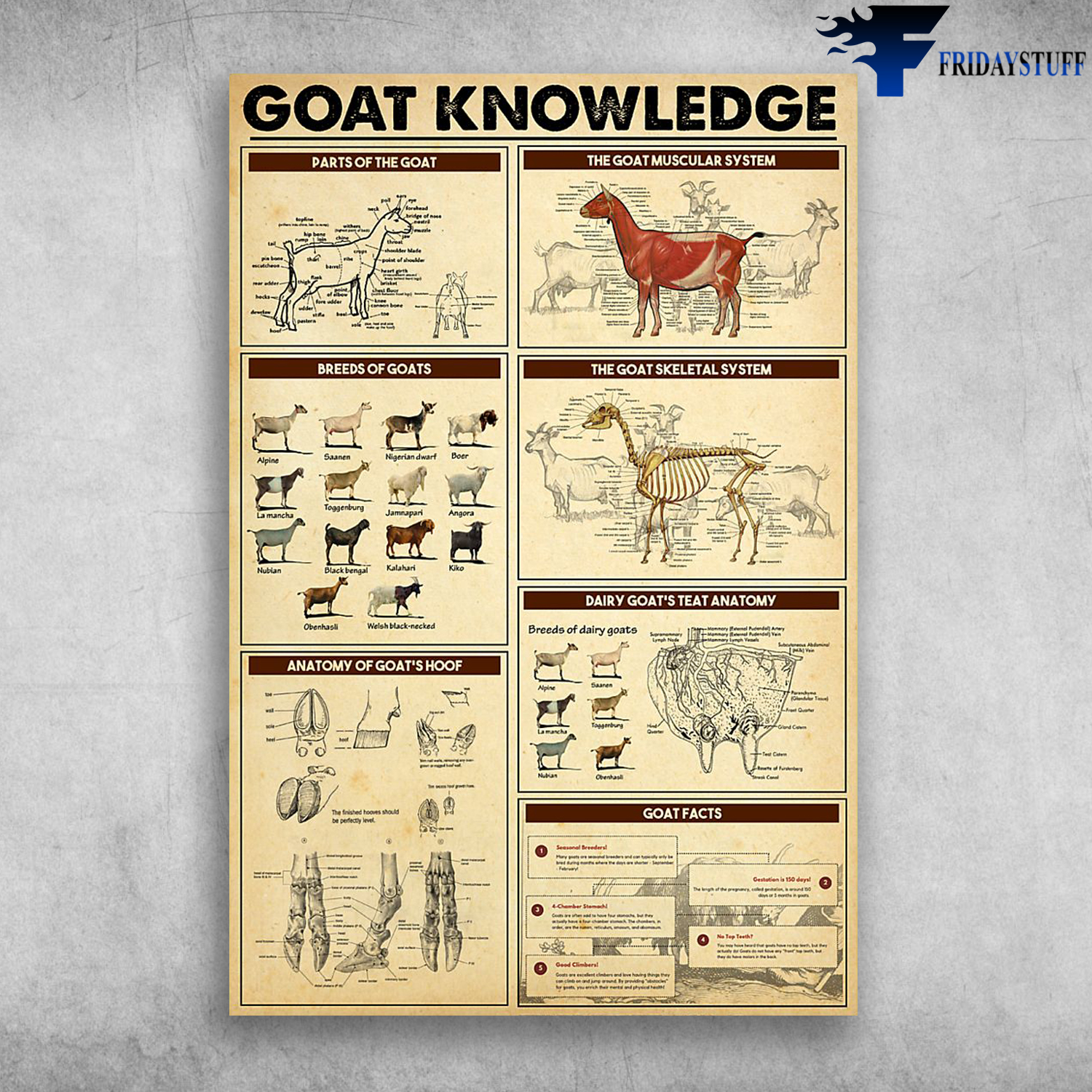 Goat Knowledge Parts Of The Goat Breeds Of Goats