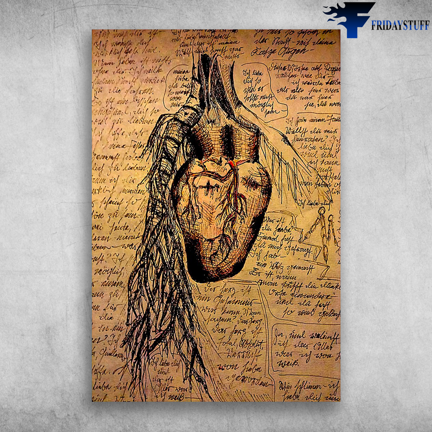 Heart Anatomical Da Vinci Human Heart Anatomy Proud Cardiologist