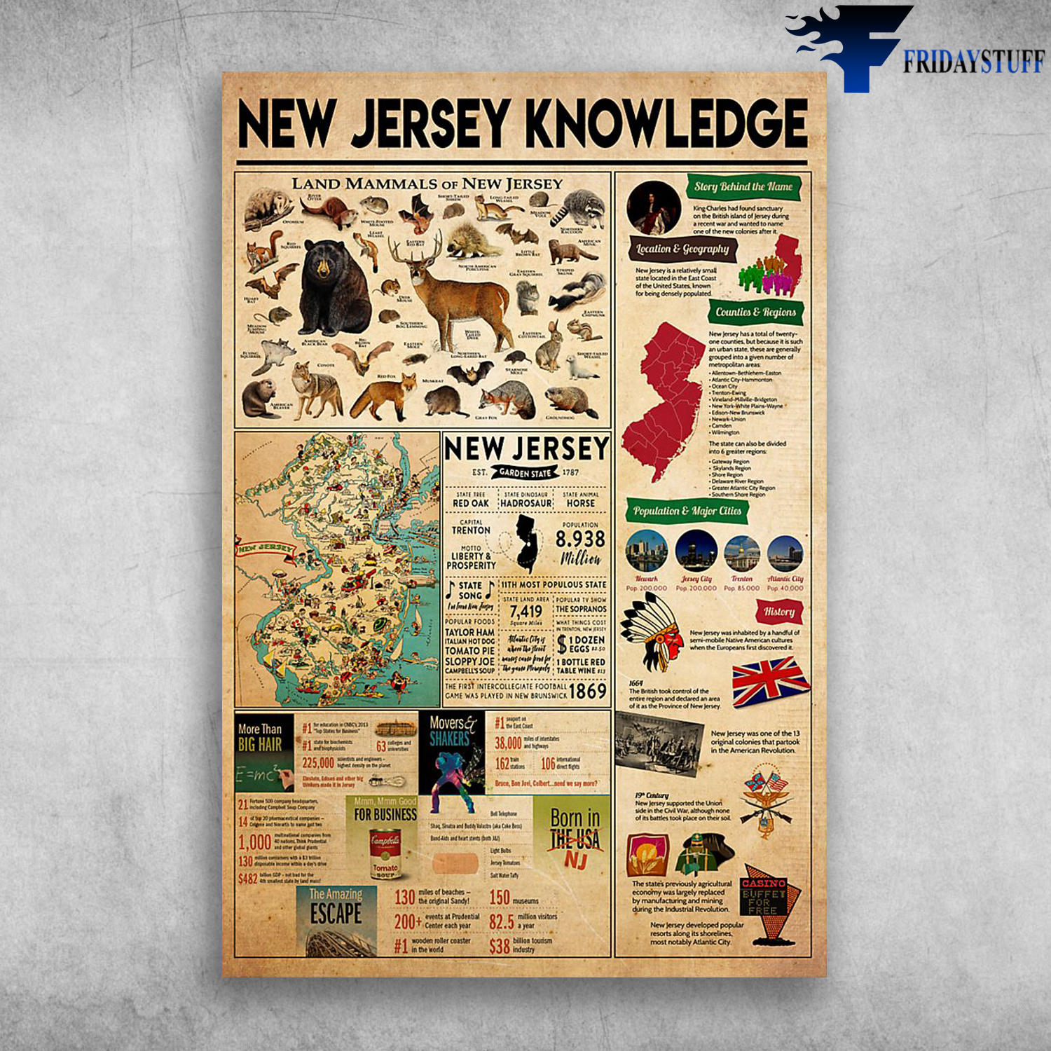 New Jersey Knowledge Land Mammals Of New Jersey