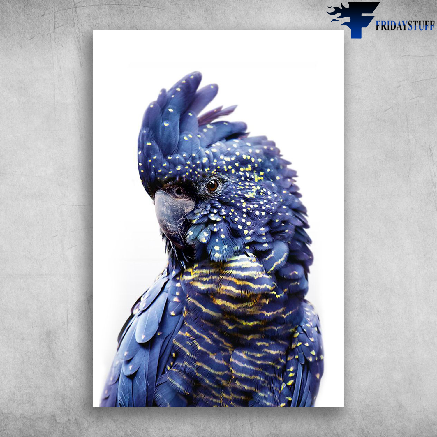 Parrot Crazy In Love Beautiful Dark Blue Parrot