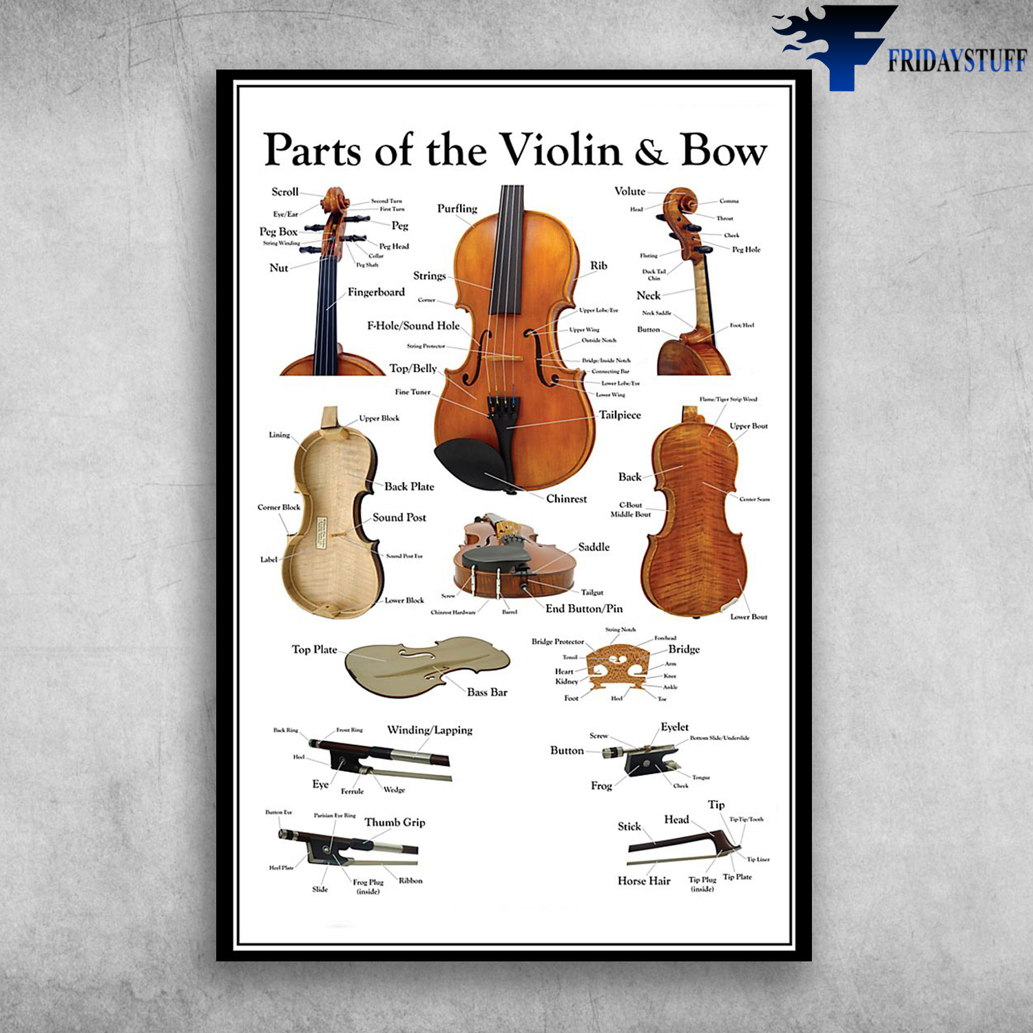 Parts Of The Violin And Bow Contrebasse Musical Instrument