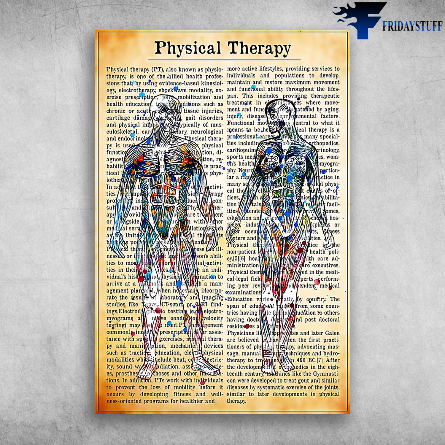 Physical Therapy Anatomy Of Human Body Physical Therapist Fanatics