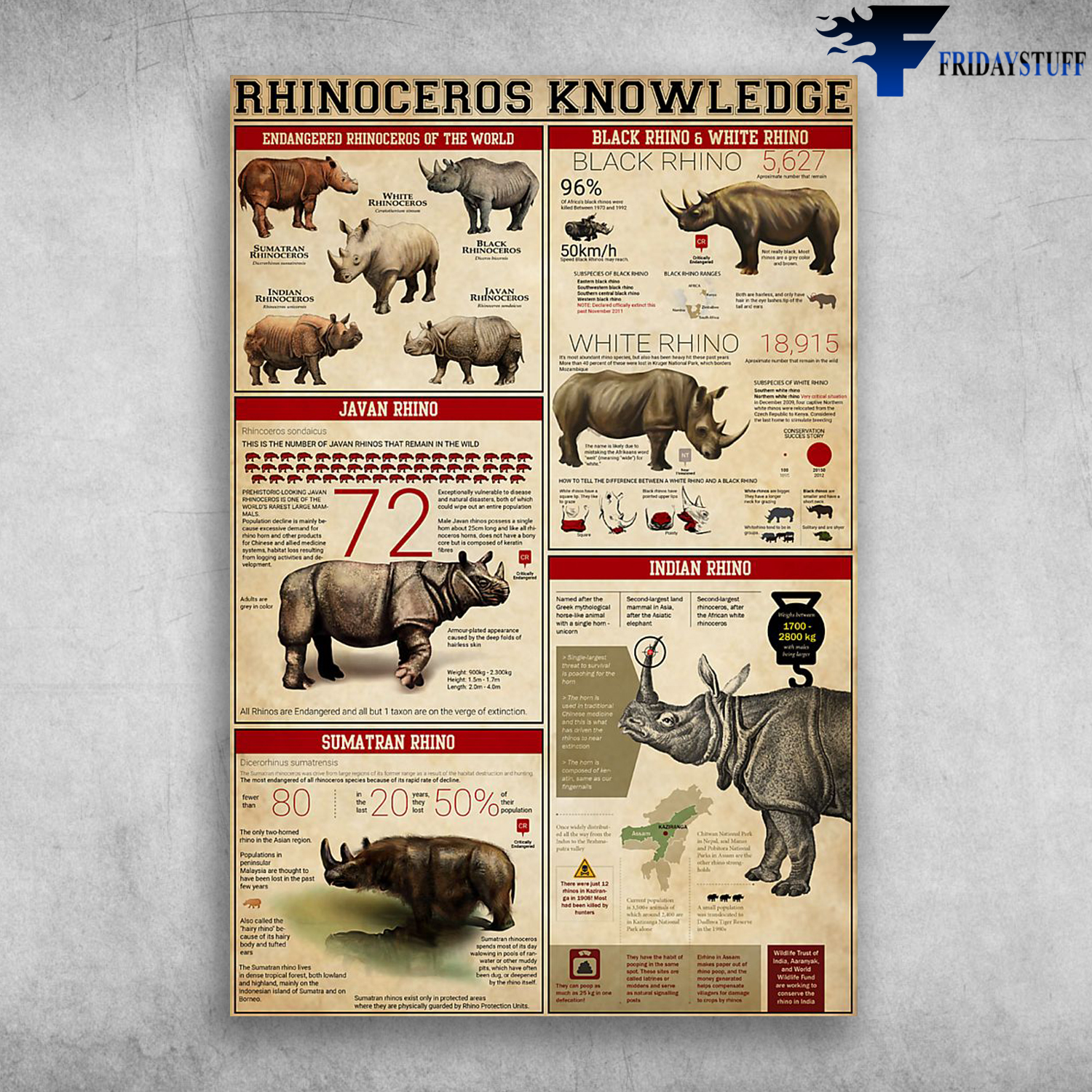 Rhinoceros Knowledge Endangered Rhinoceros Of The World